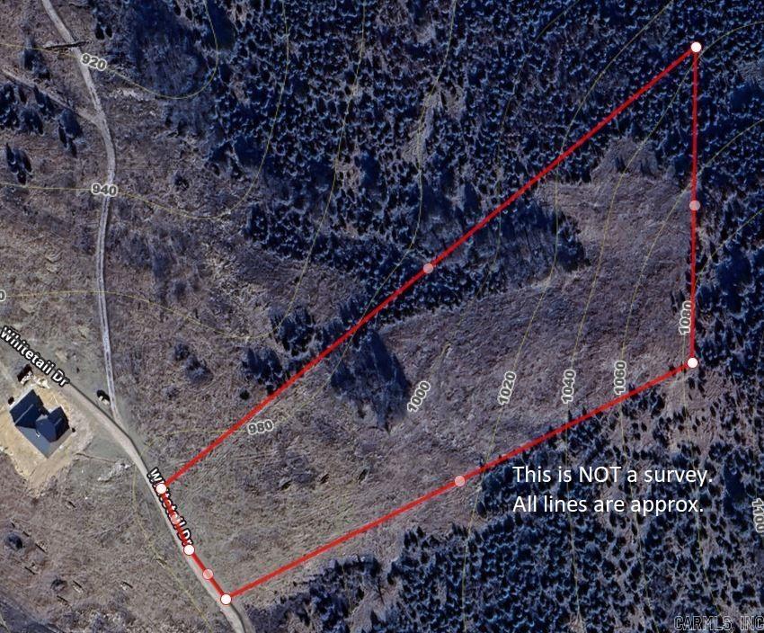  Whitetail  Harrison, AR