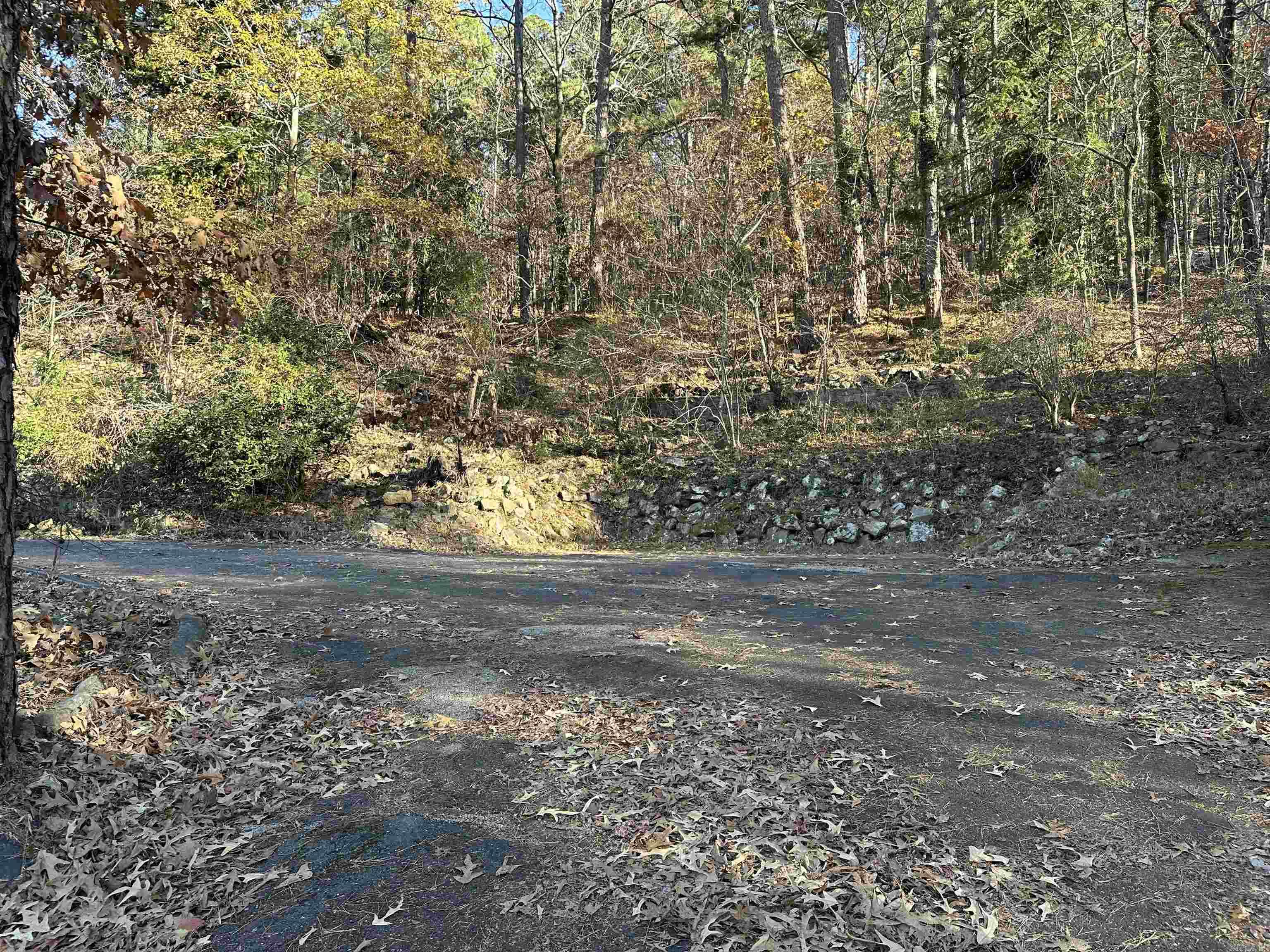 310 Ramble St Street Hot Springs, AR 71901