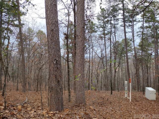 102 Mesero  Hot Springs Village, AR