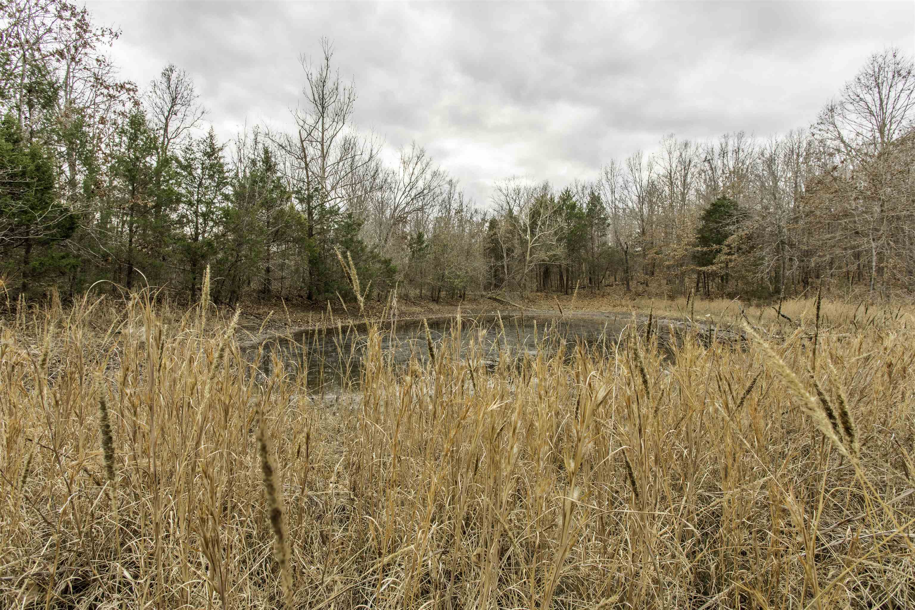 000 Valley Chapel  Ravenden Springs, AR