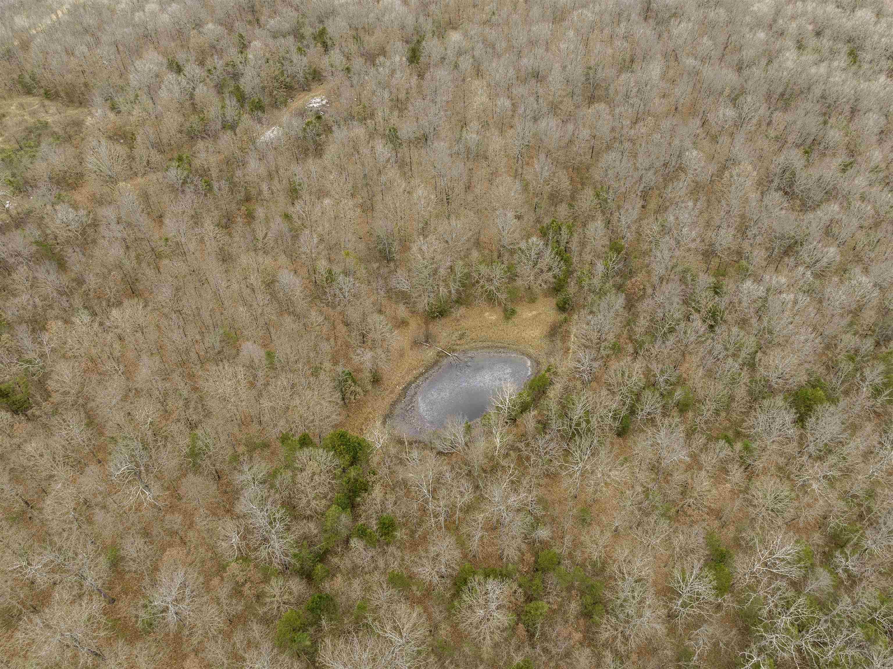 000 Valley Chapel  Ravenden Springs, AR