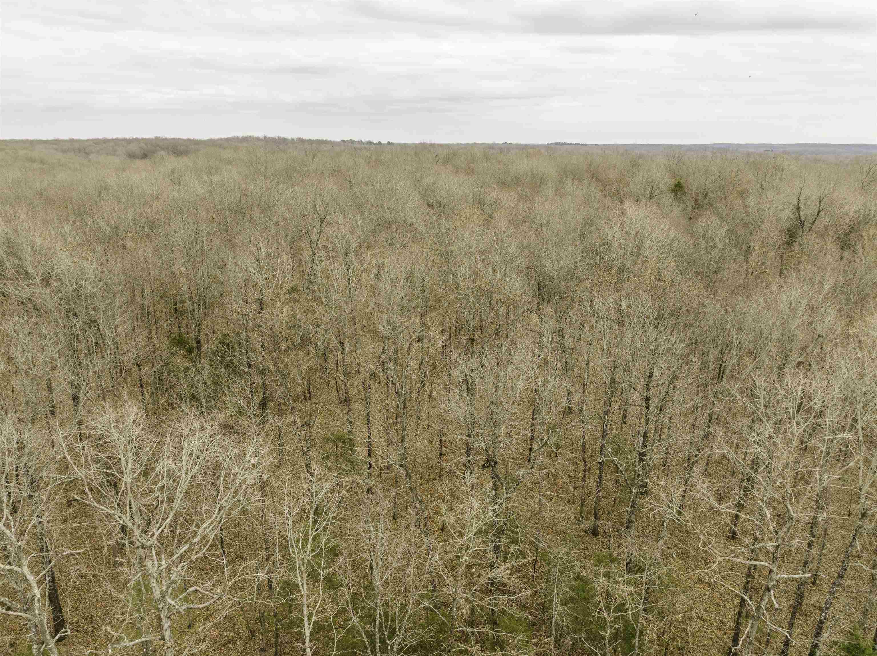 000 Valley Chapel  Ravenden Springs, AR