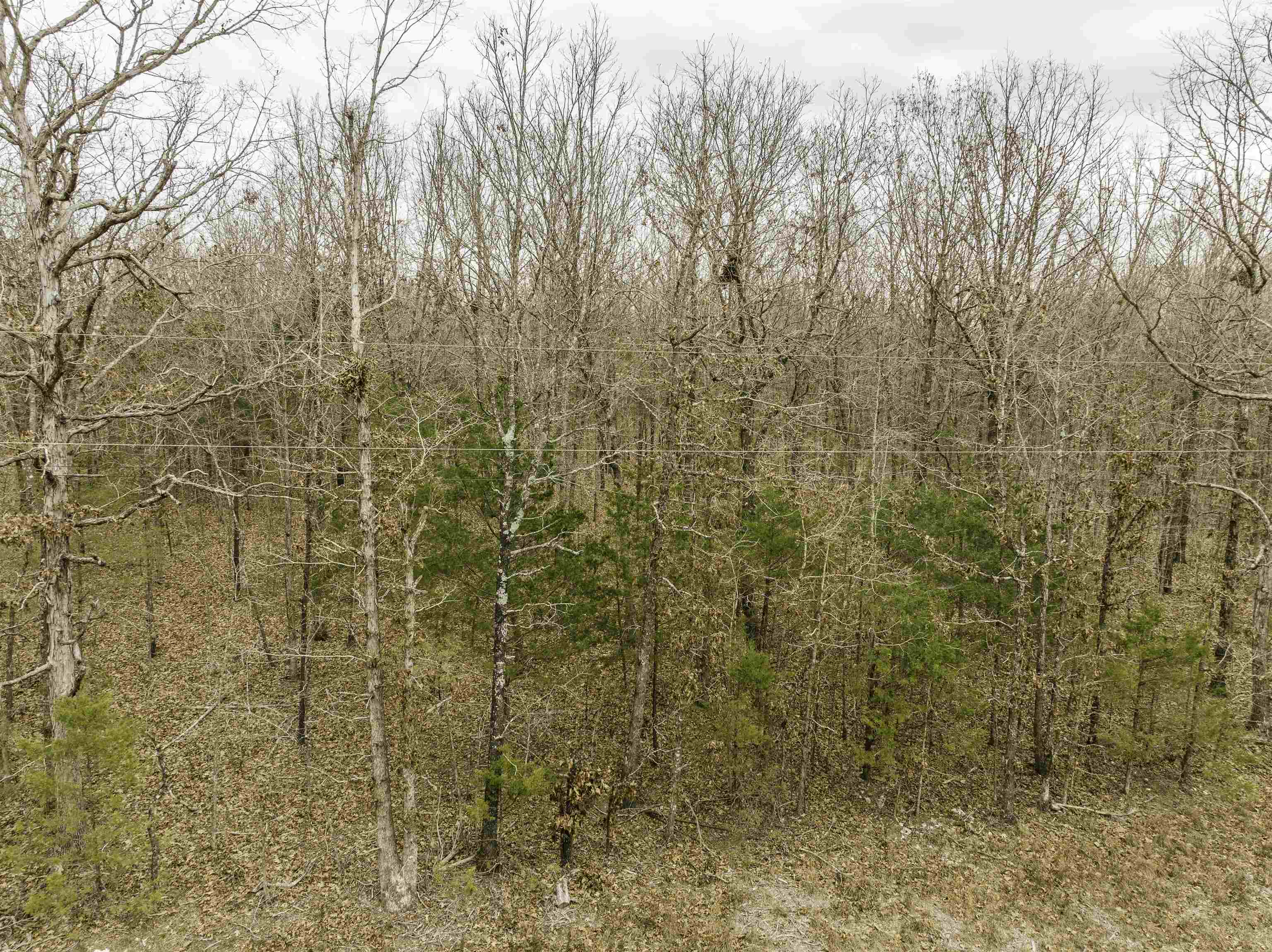 000 Valley Chapel  Ravenden Springs, AR