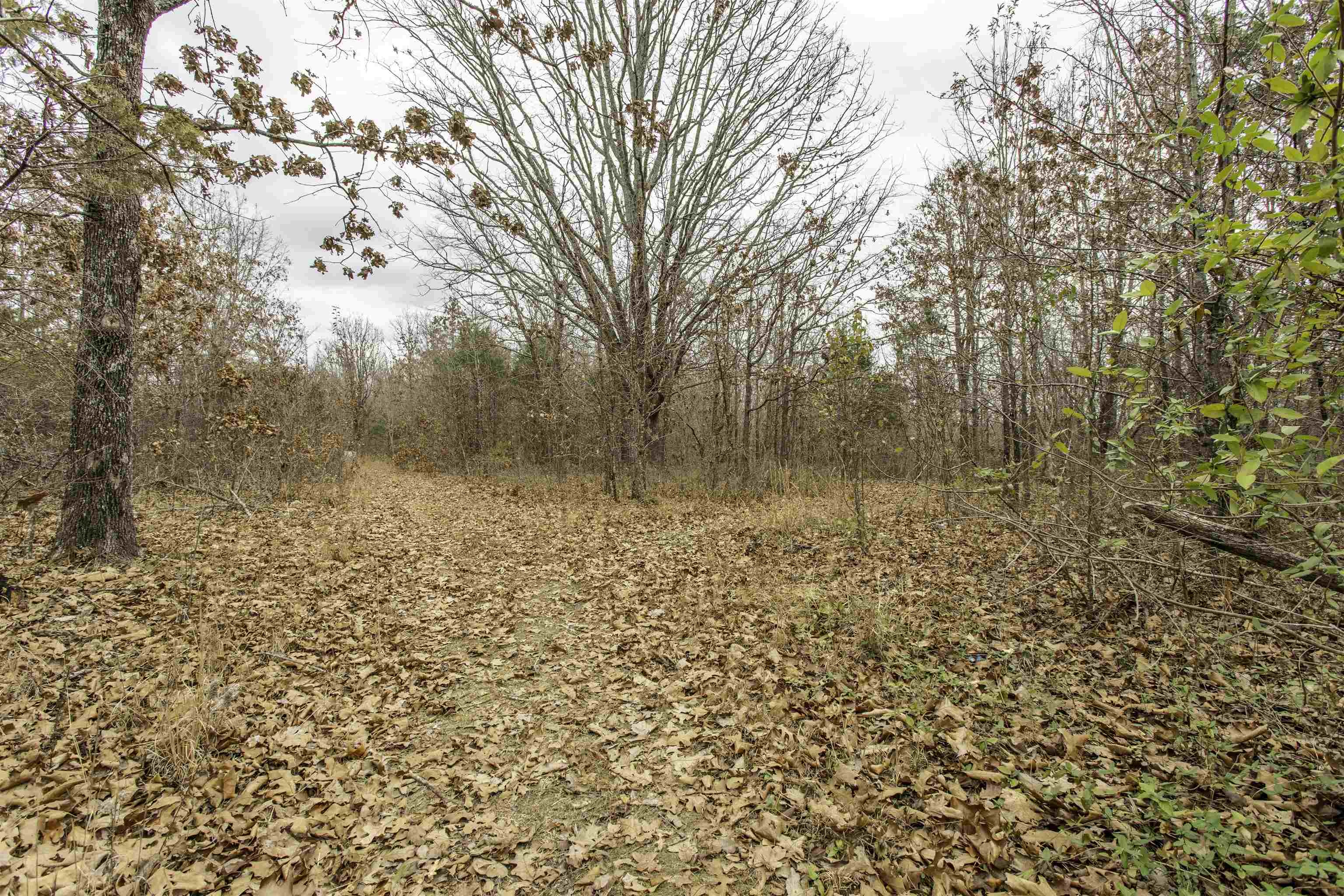 000 Valley Chapel  Ravenden Springs, AR