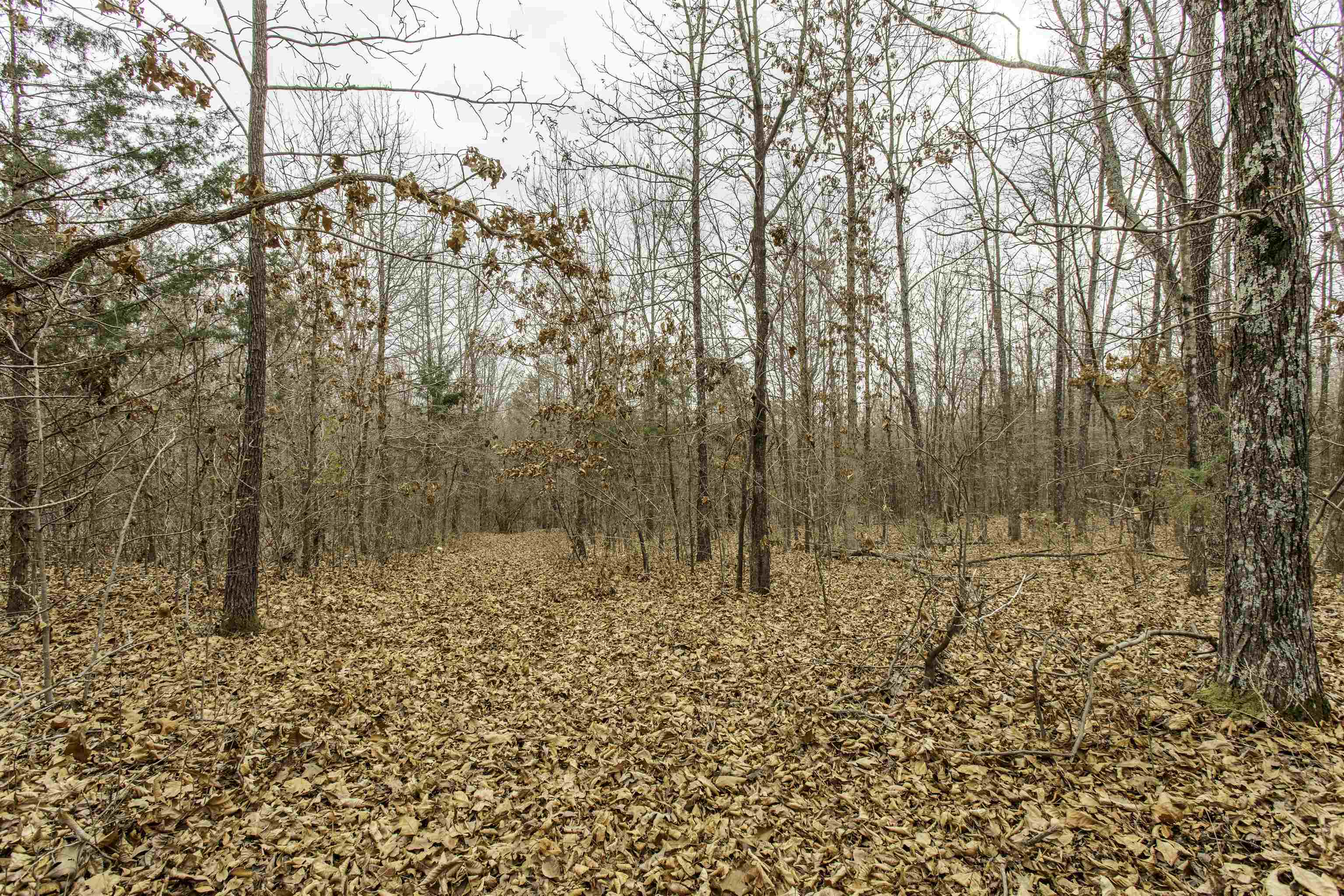 000 Valley Chapel  Ravenden Springs, AR