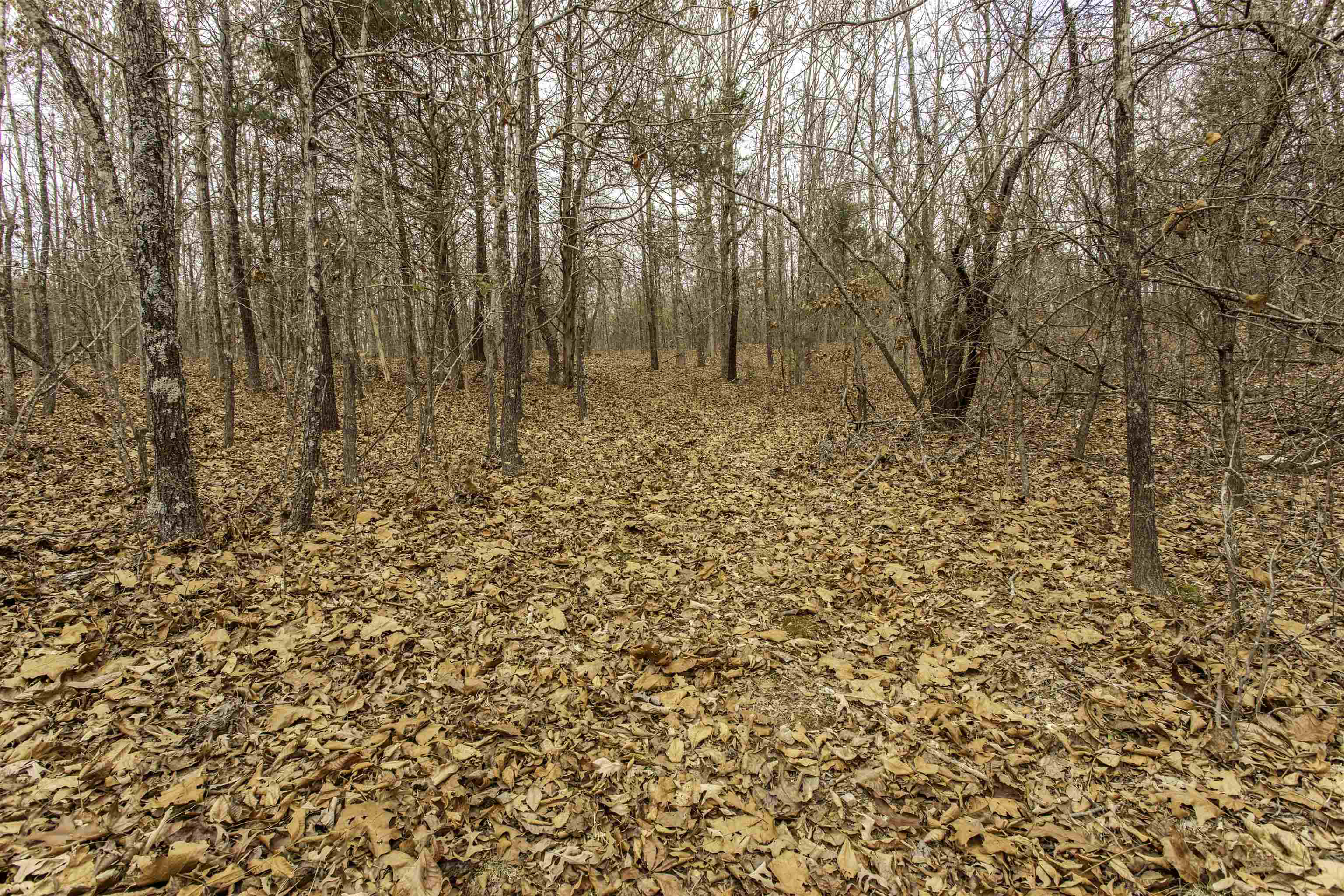 000 Valley Chapel  Ravenden Springs, AR