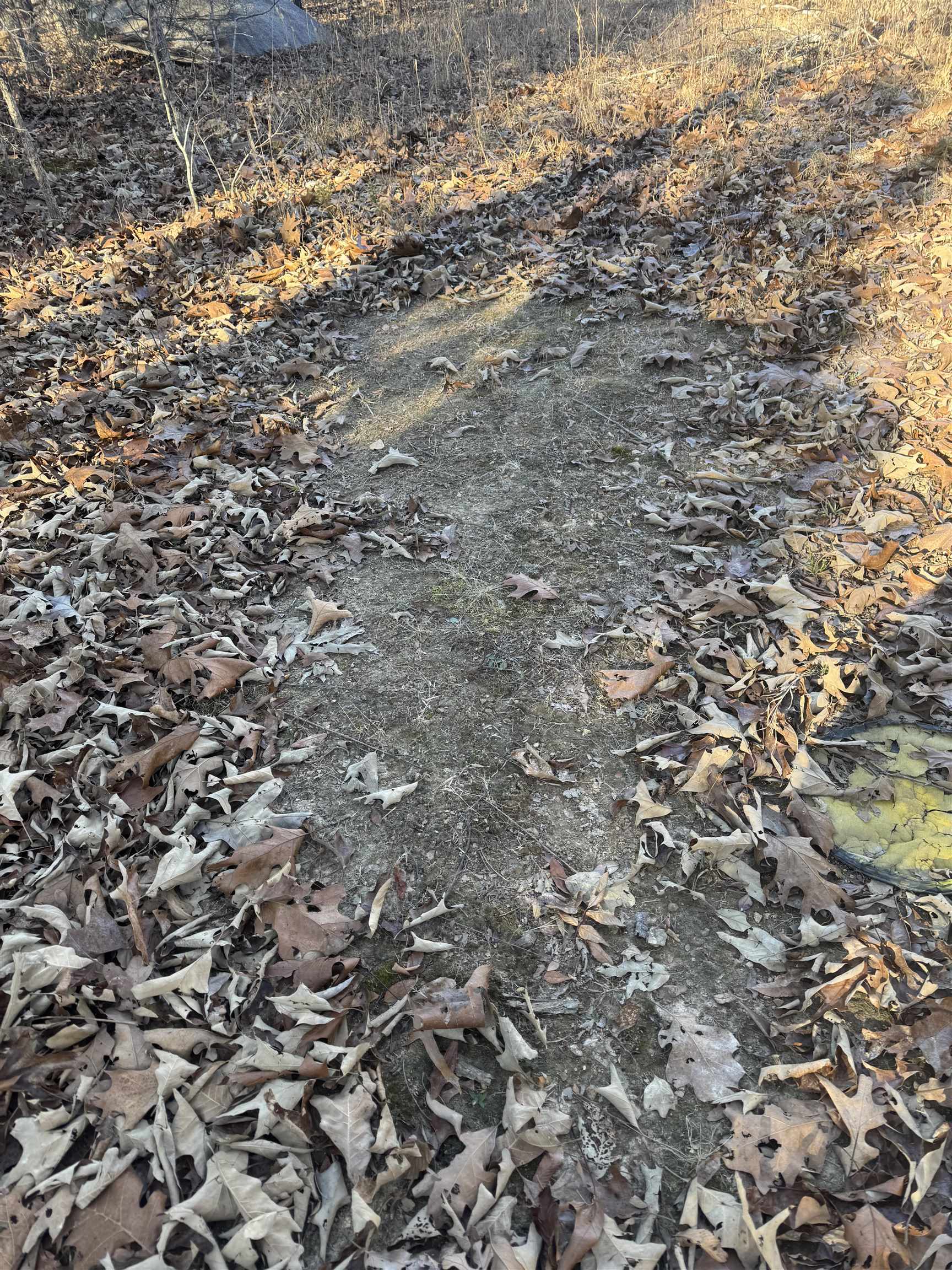 000 Valley Chapel  Ravenden Springs, AR