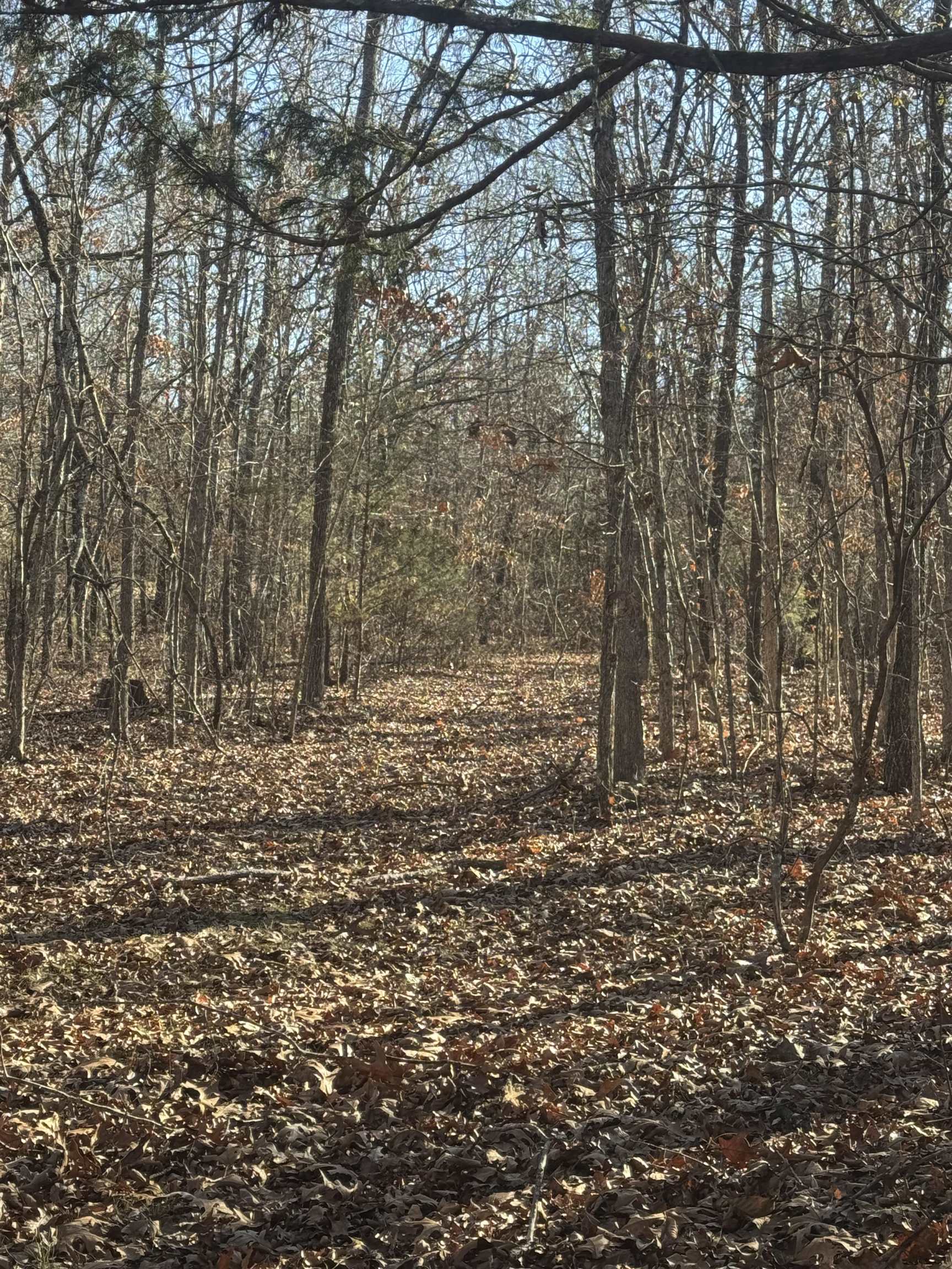 000 Valley Chapel  Ravenden Springs, AR