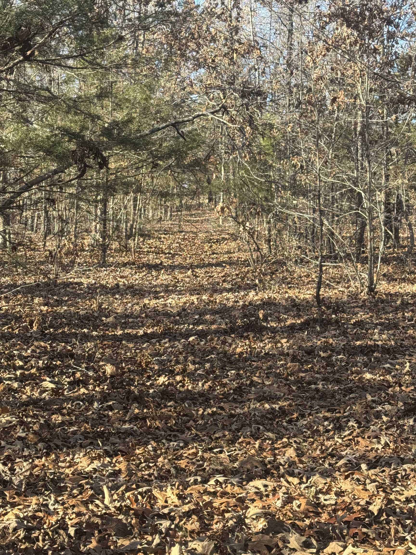 000 Valley Chapel  Ravenden Springs, AR