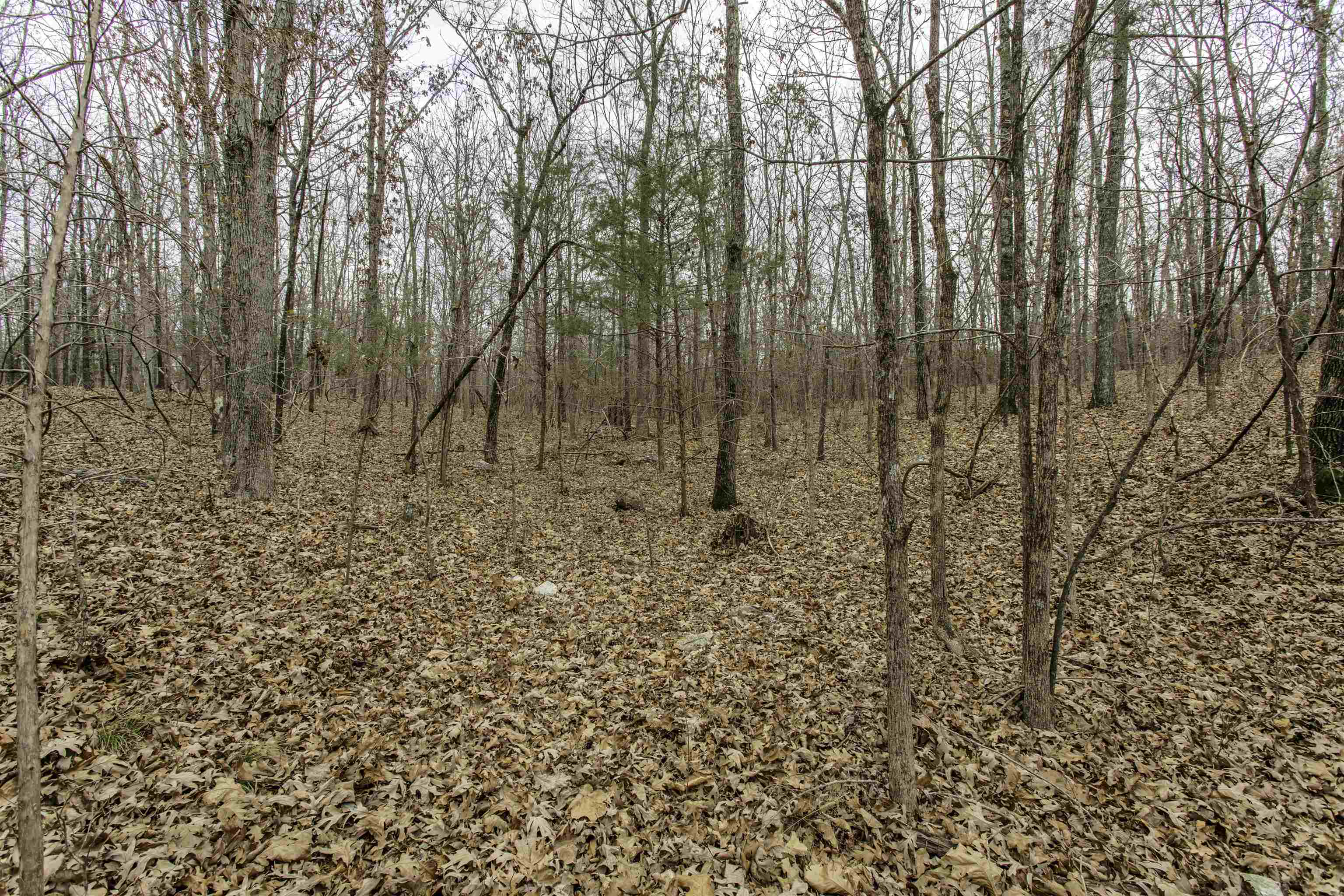 000 Valley Chapel  Ravenden Springs, AR