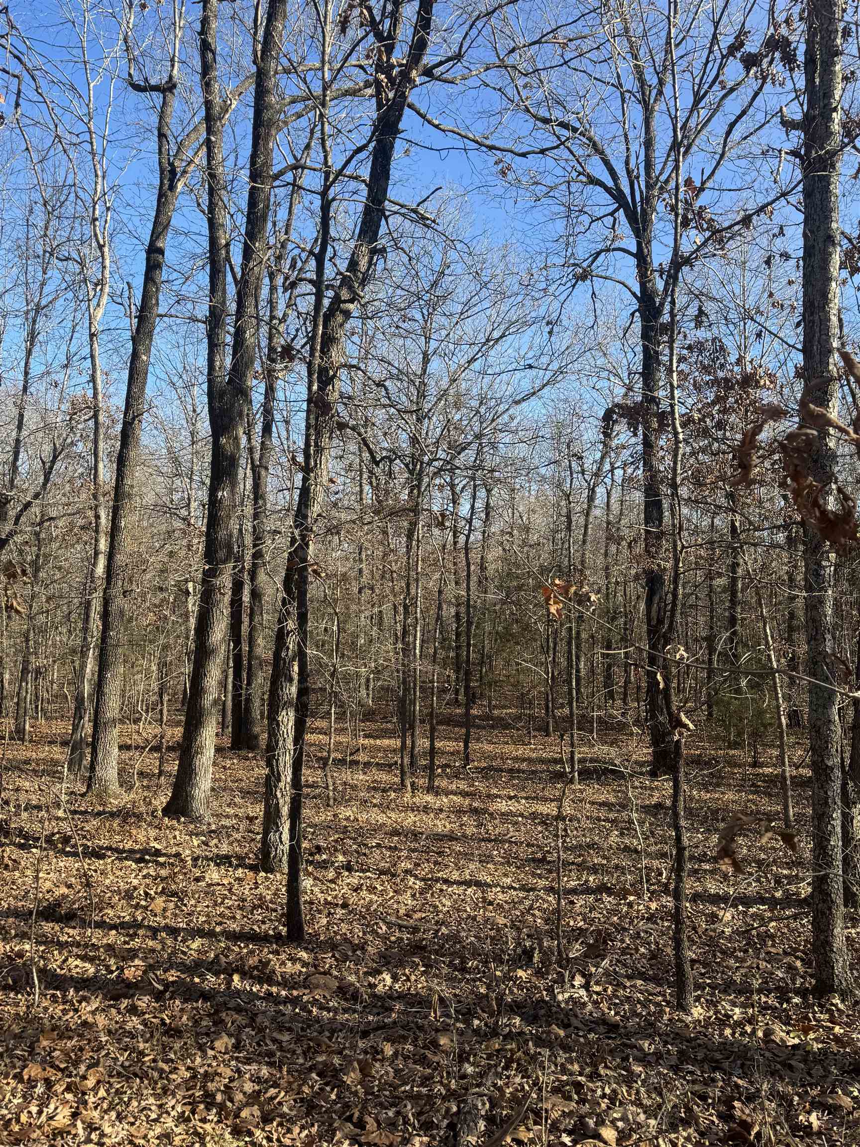 000 Valley Chapel  Ravenden Springs, AR