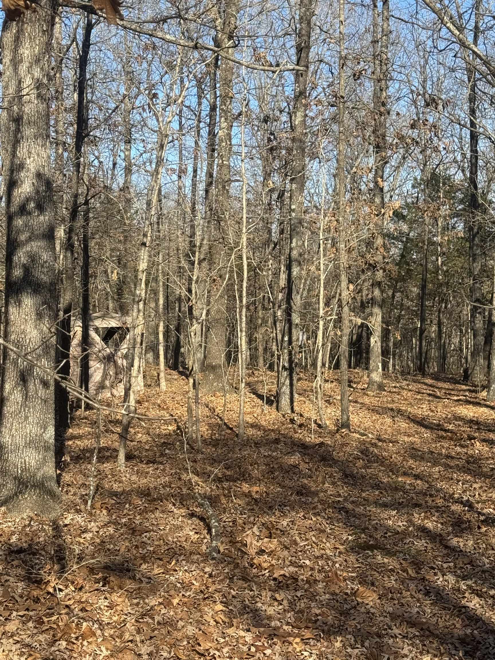 000 Valley Chapel  Ravenden Springs, AR