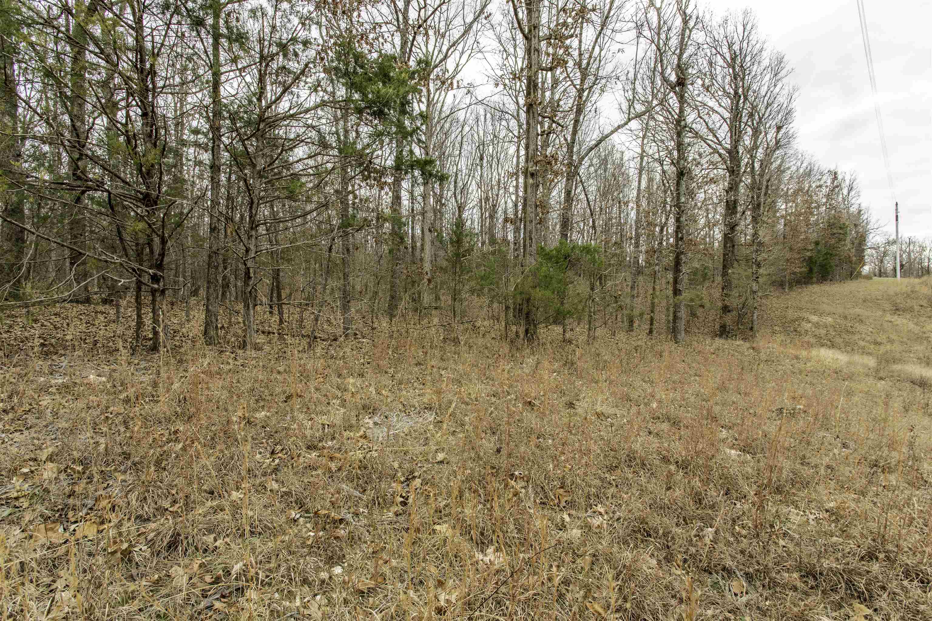 000 Valley Chapel  Ravenden Springs, AR