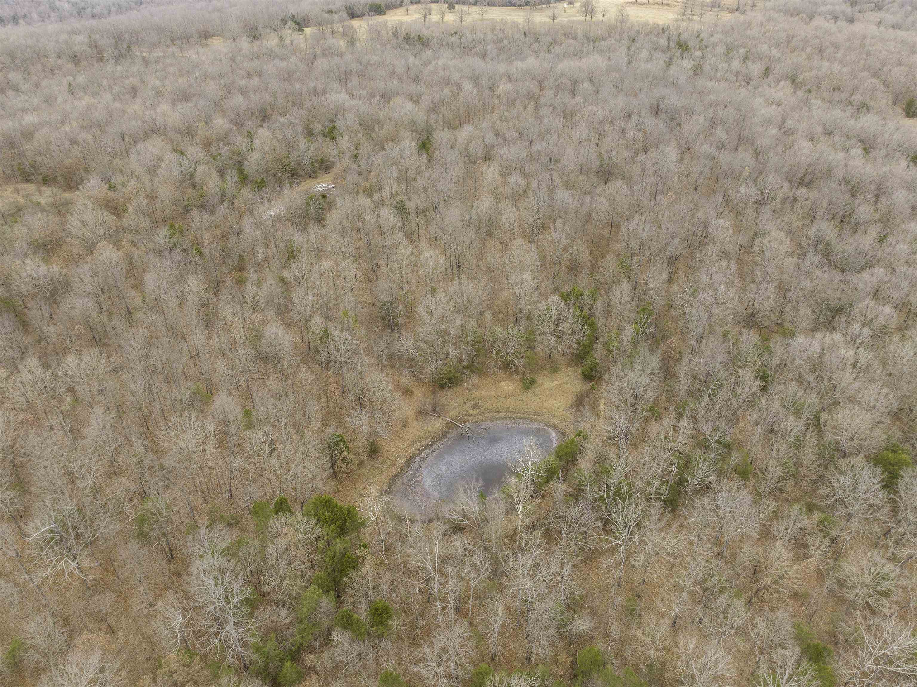 000 Valley Chapel  Ravenden Springs, AR