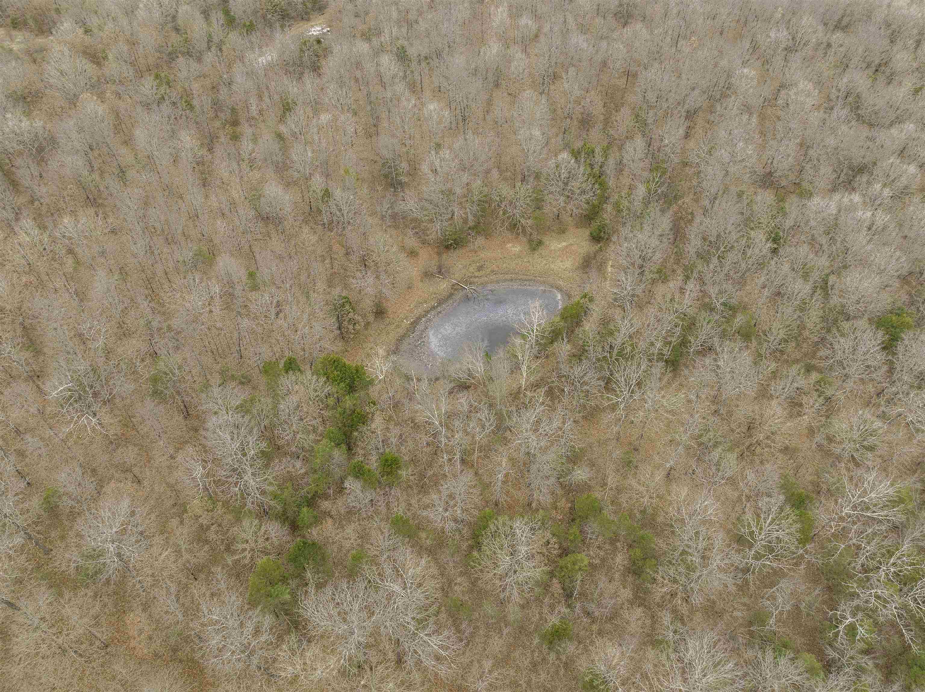 000 Valley Chapel  Ravenden Springs, AR