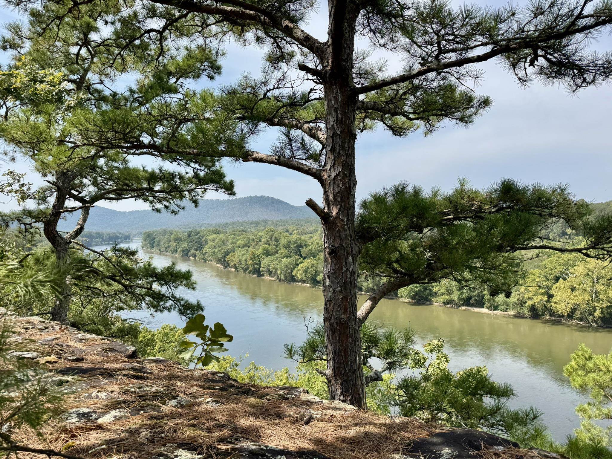 70 Mount Olive Road  Melbourne, AR