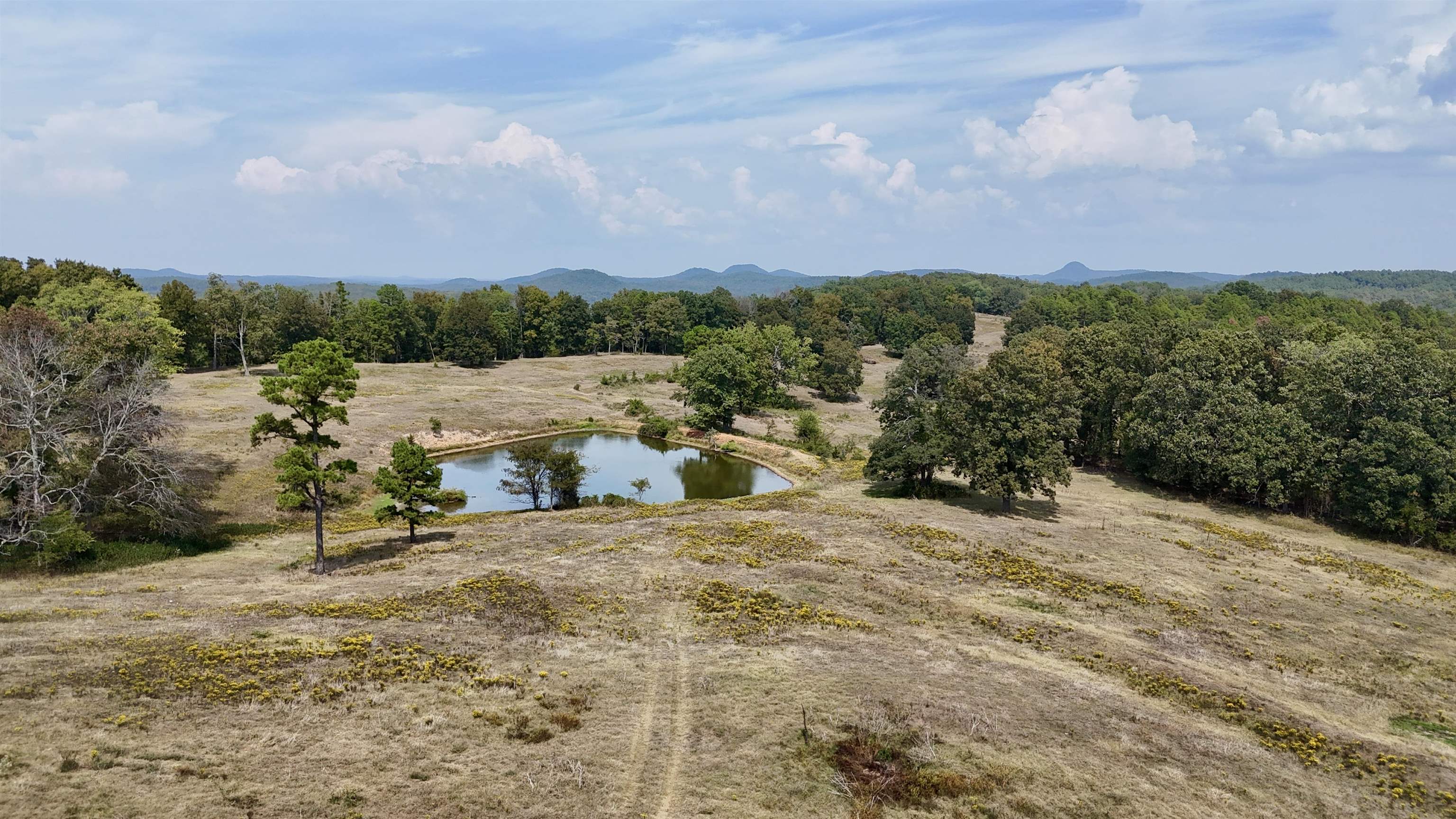 70 Mount Olive Road  Melbourne, AR