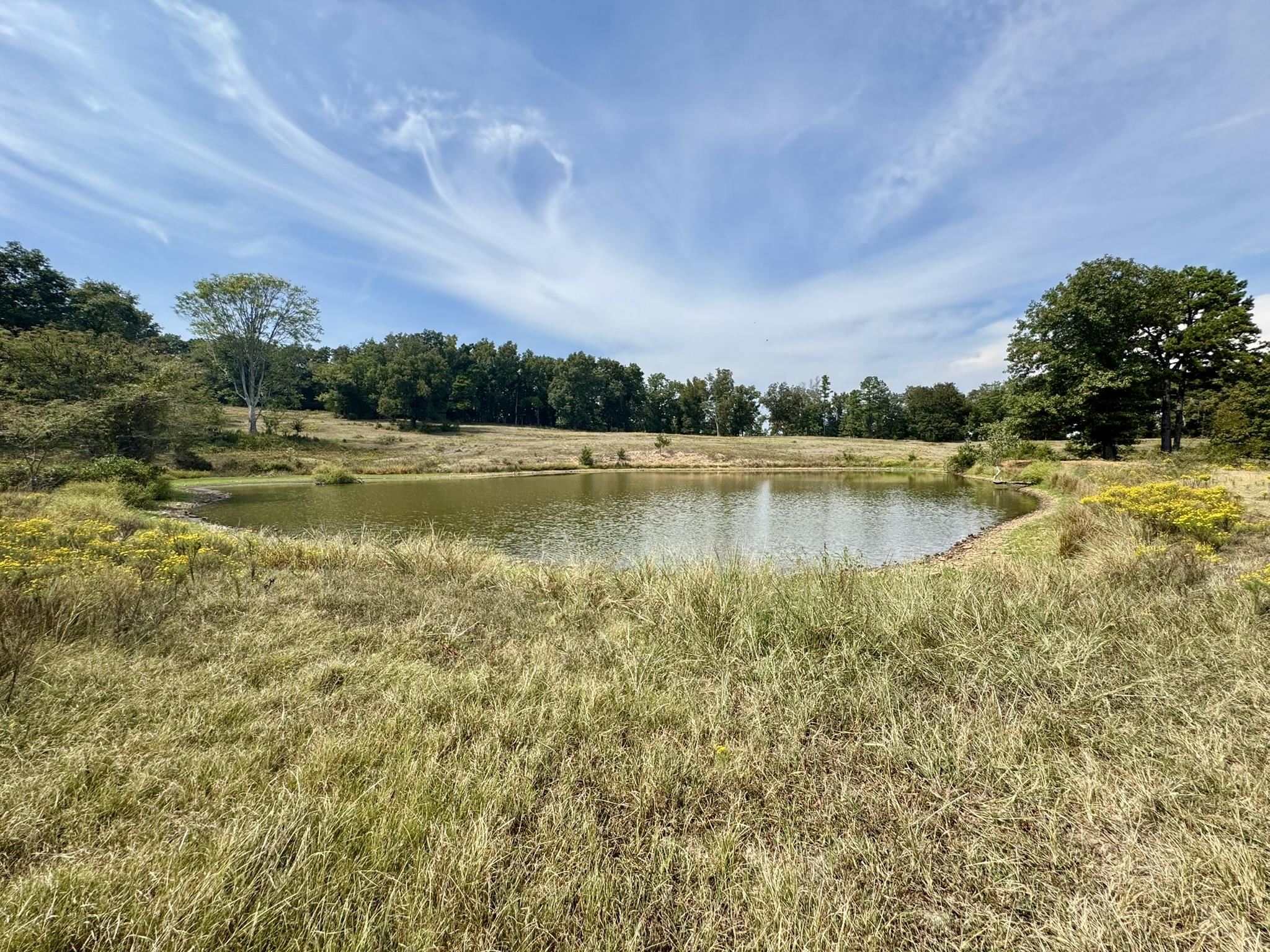 70 Mount Olive Road  Melbourne, AR