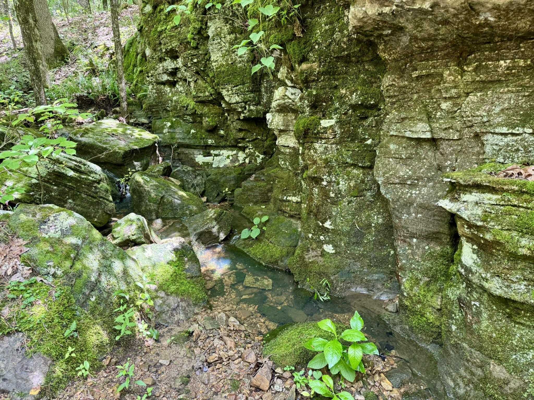 70 Mount Olive Road  Melbourne, AR