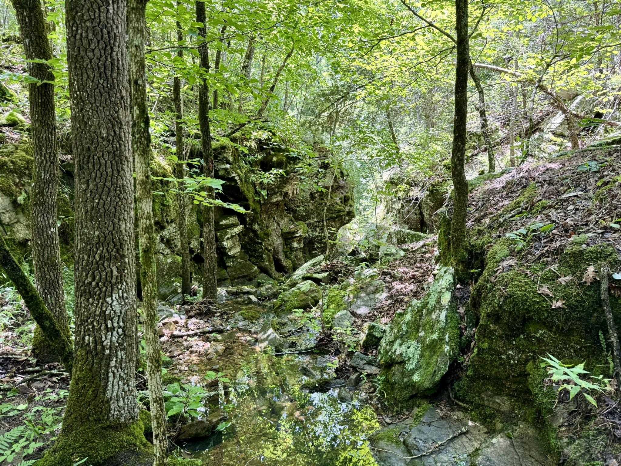 70 Mount Olive Road  Melbourne, AR