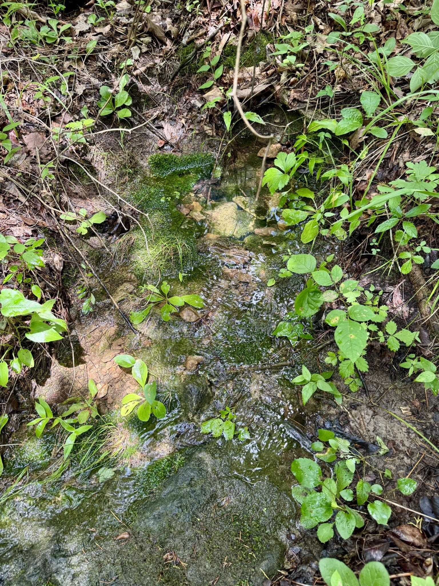 70 Mount Olive Road  Melbourne, AR