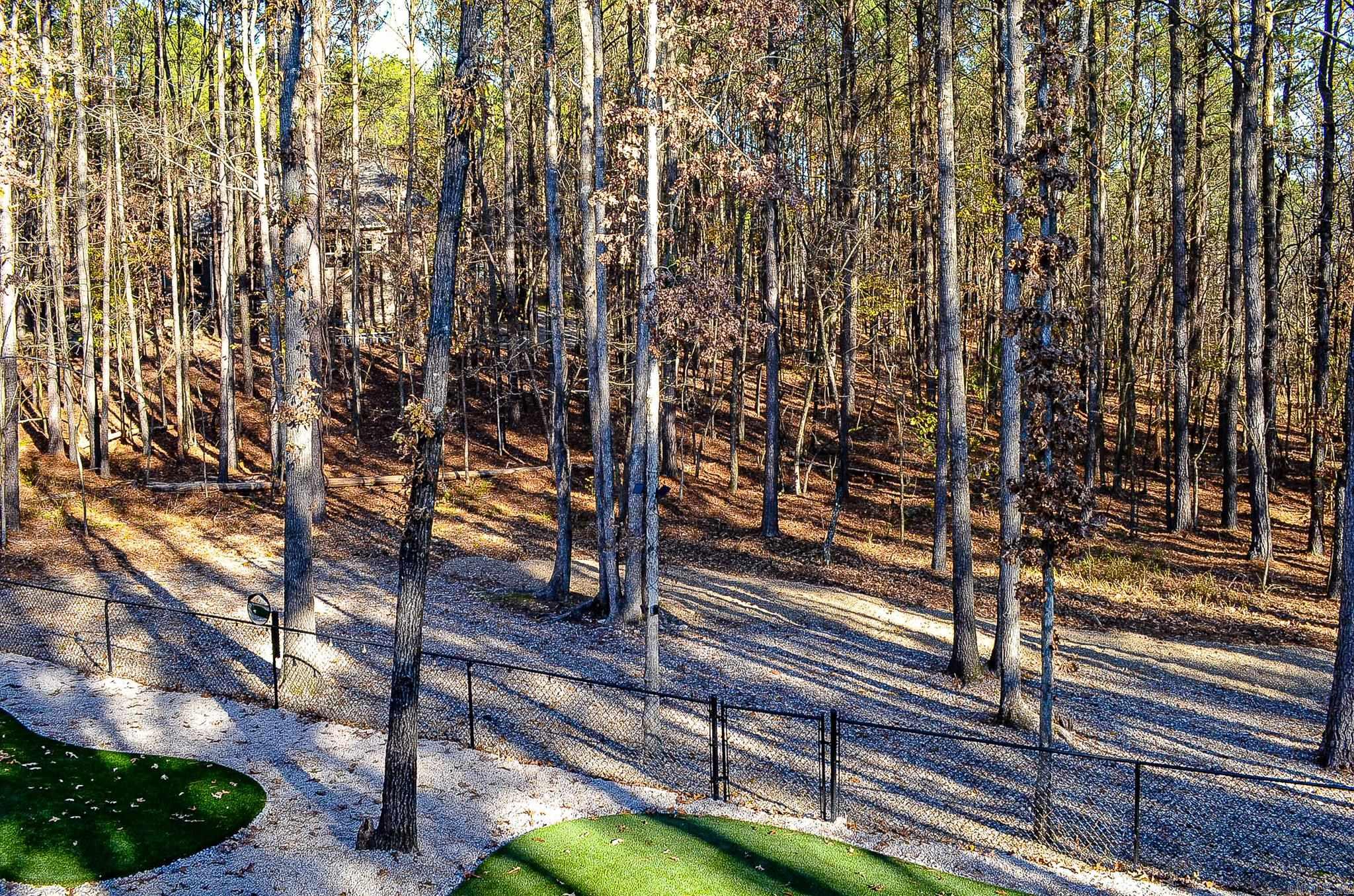 87 Elcano  Hot Springs Village, AR