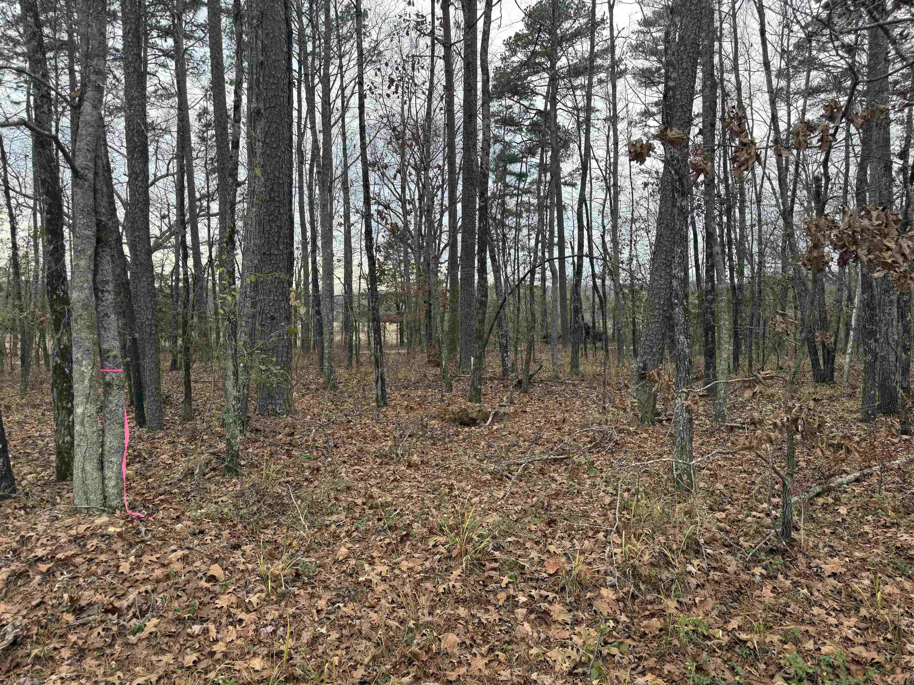 51 Estrella  Hot Springs Village, AR