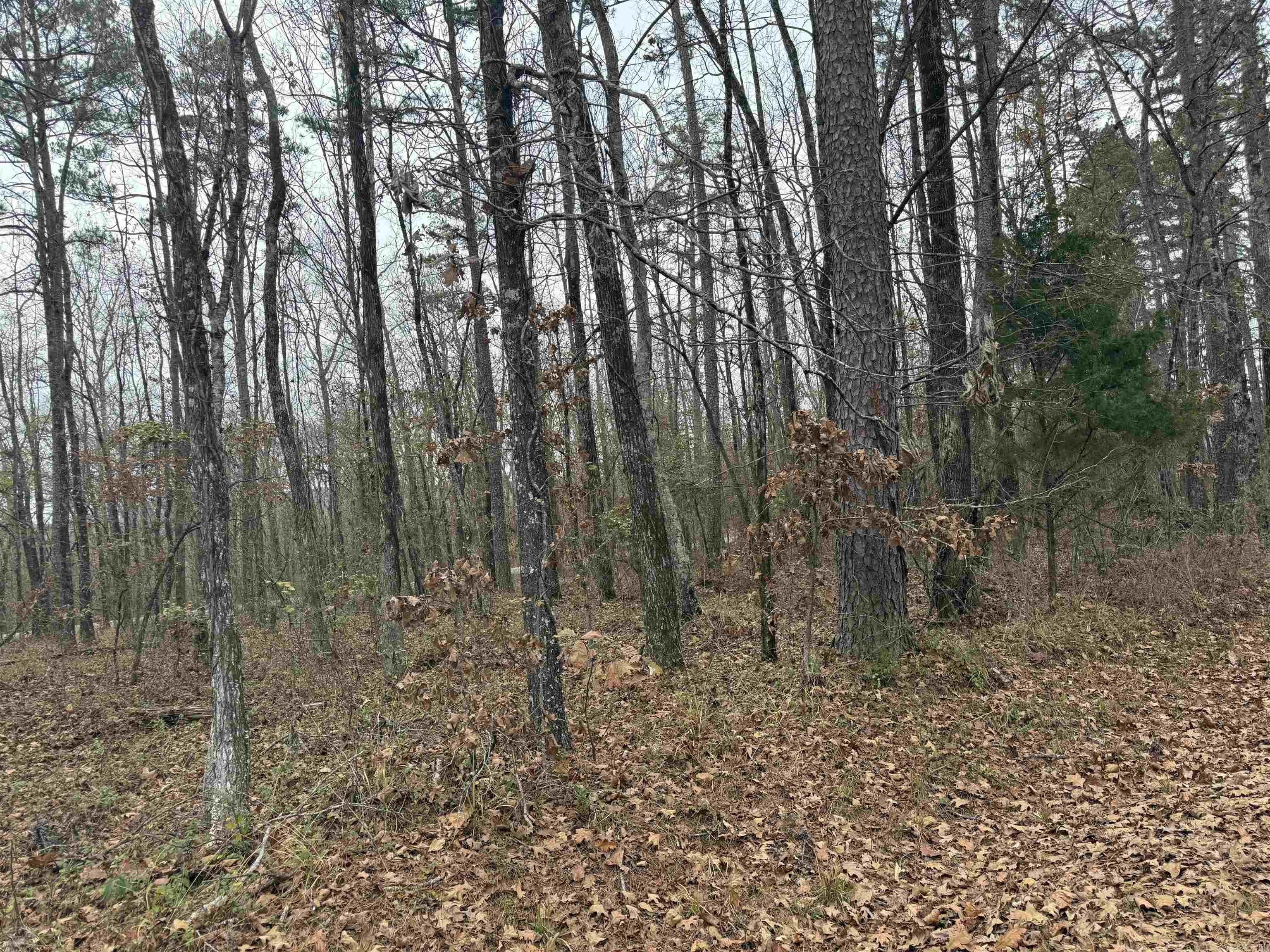 53 Estrella  Hot Springs Village, AR