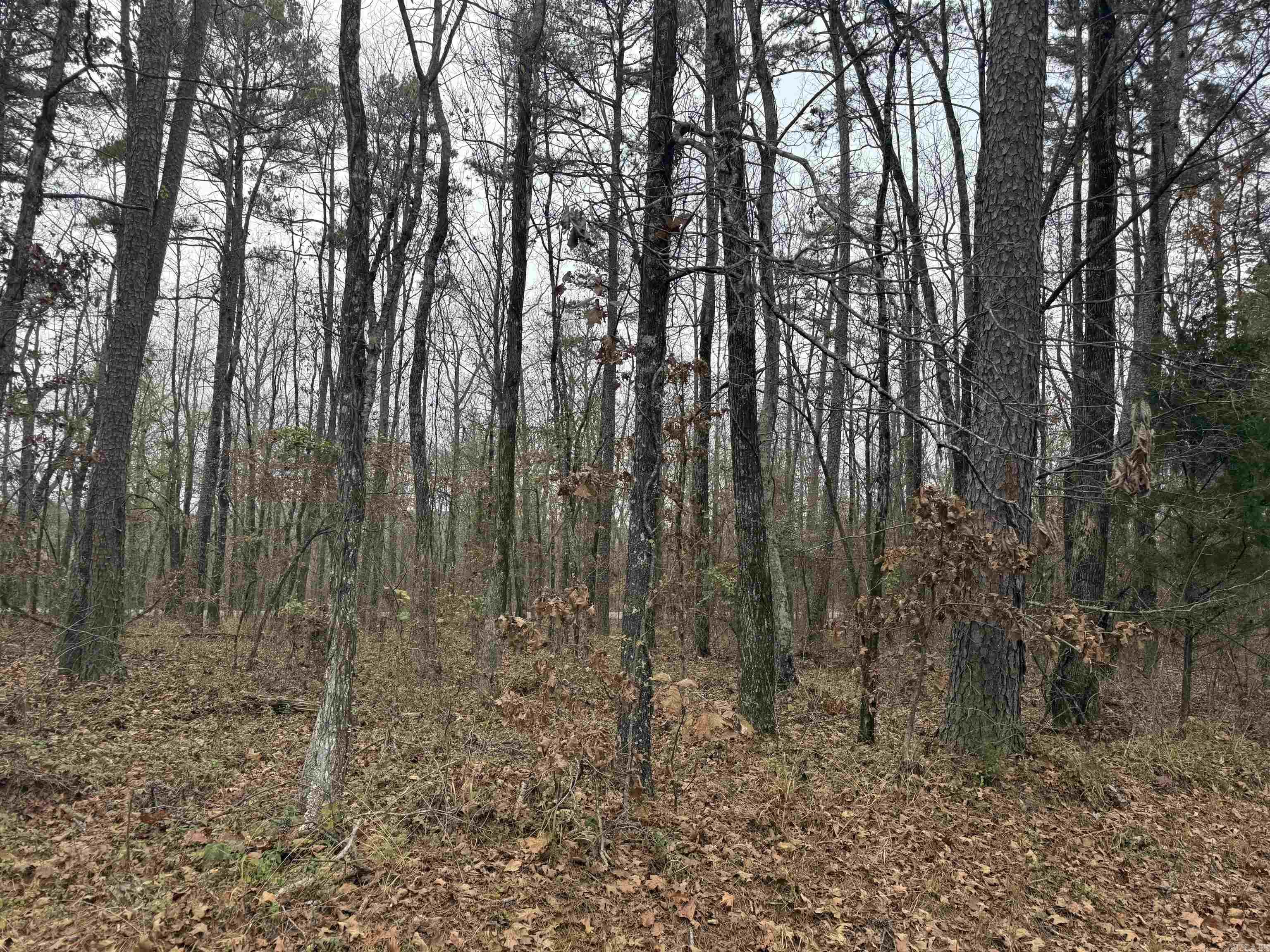 53 Estrella  Hot Springs Village, AR