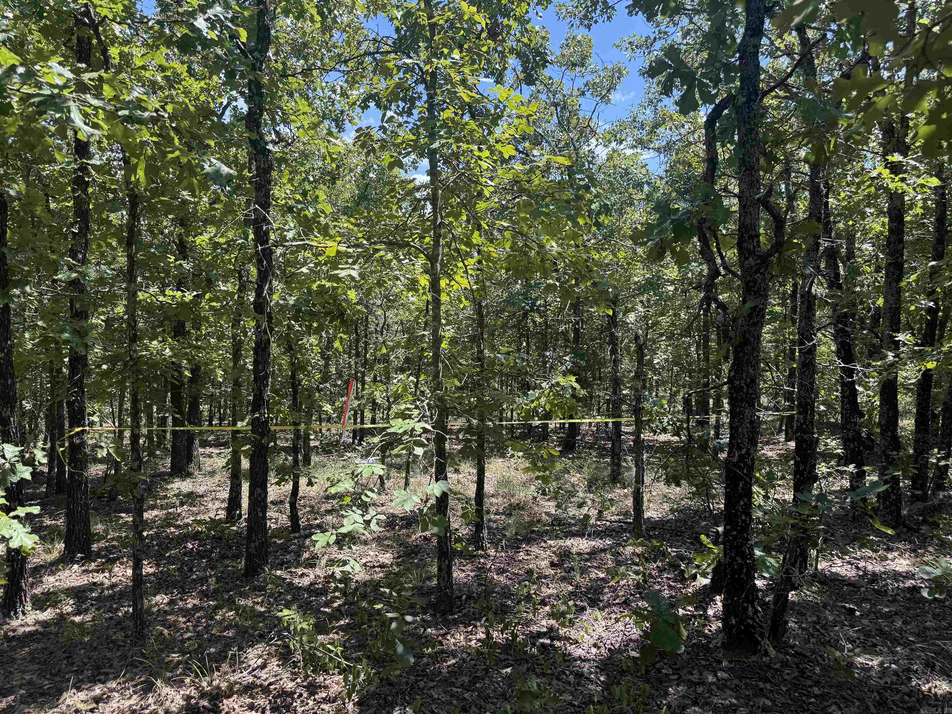 Lot 4 7 Lakes Ranch Blvd.  Conway, AR
