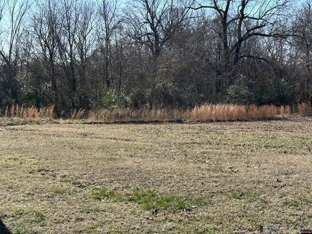 Lts 1657/1660 9th Street  Cotter, AR