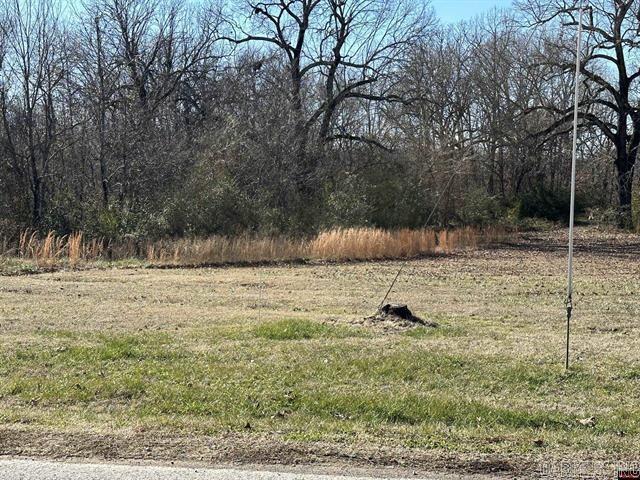 Lts 1657/1660 9th Street  Cotter, AR