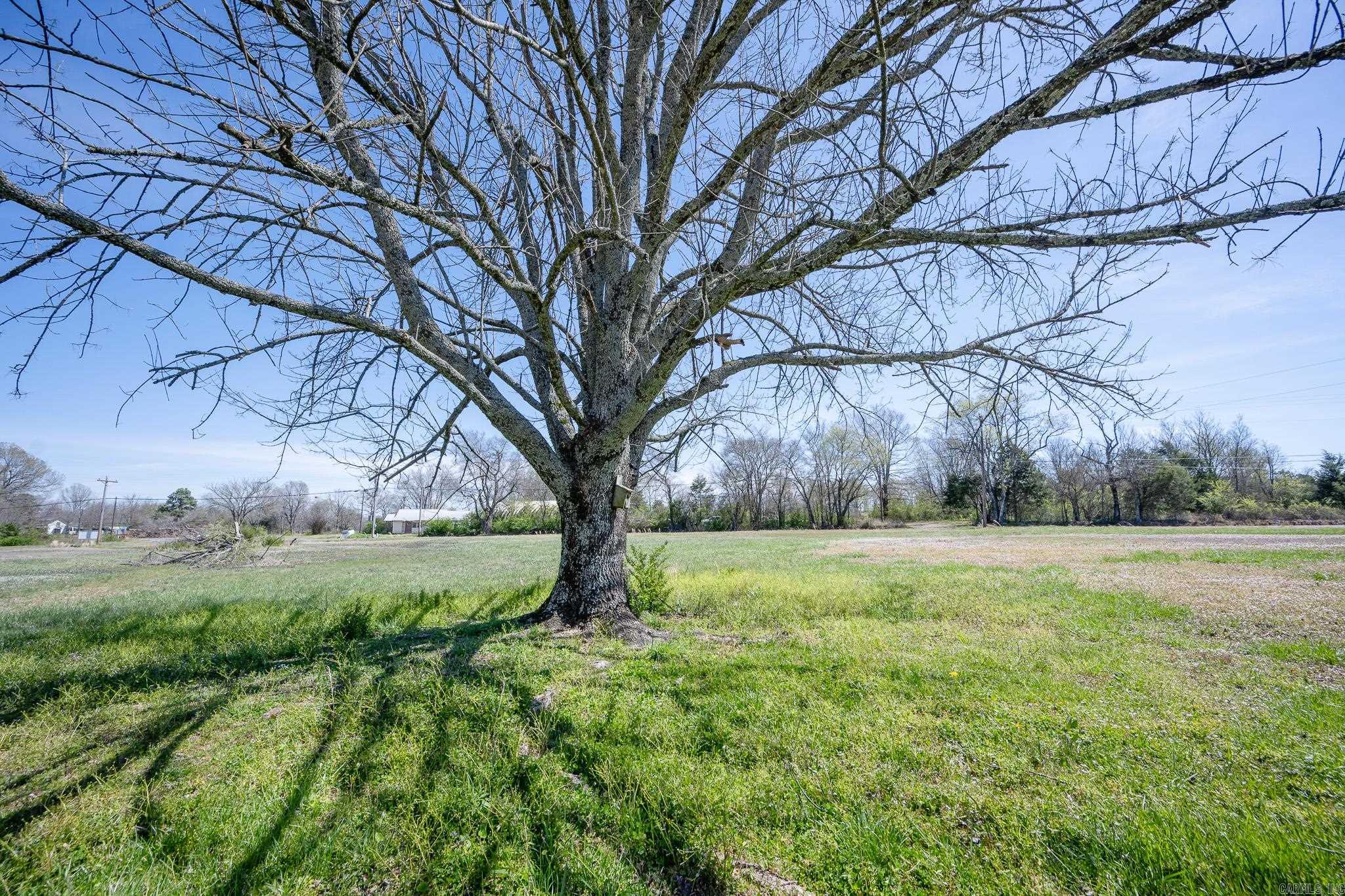 123 Polk Road 627 Mena, AR 71953-9999