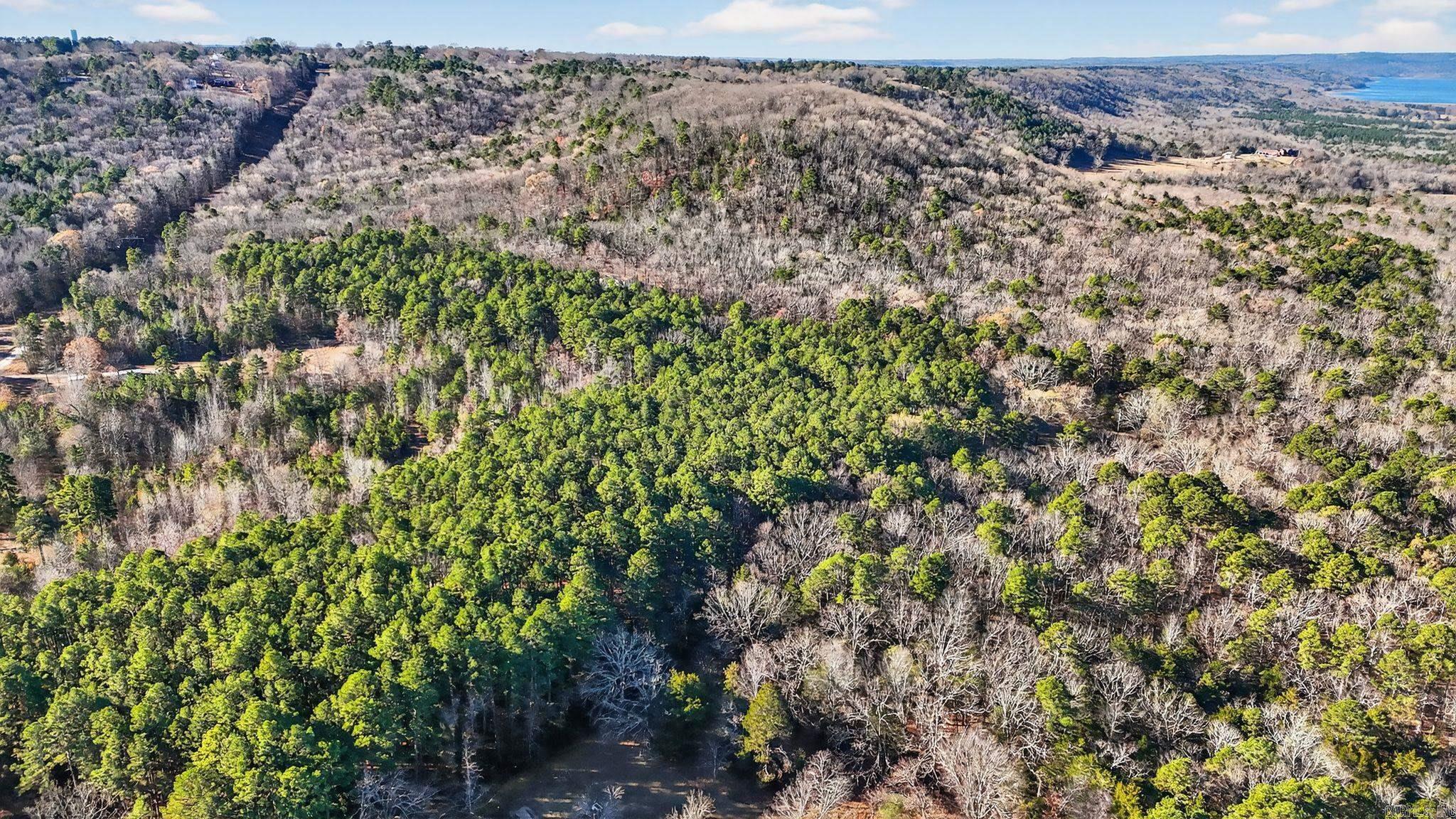 349 Bridal Veil Falls  Heber Springs, AR