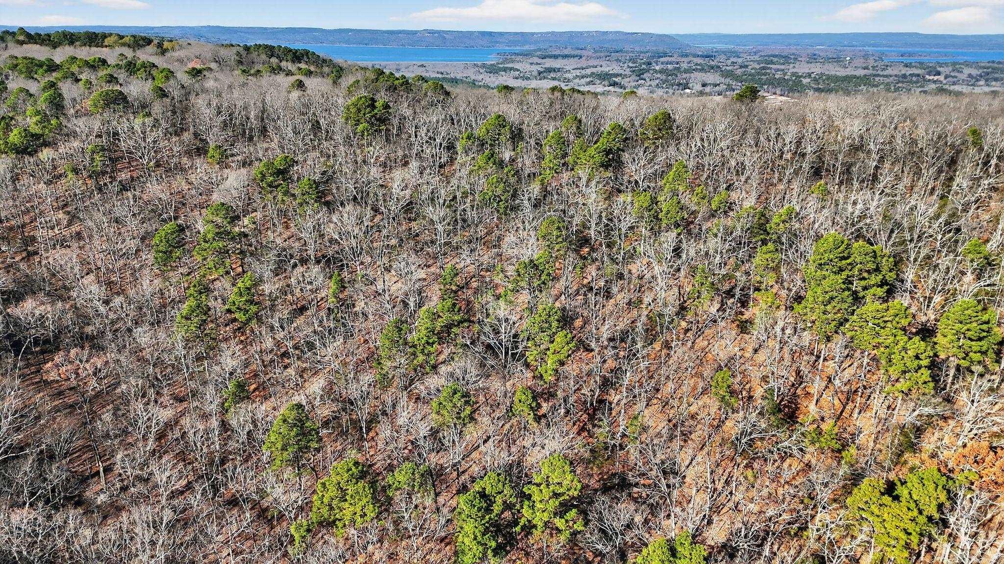 349 Bridal Veil Falls  Heber Springs, AR