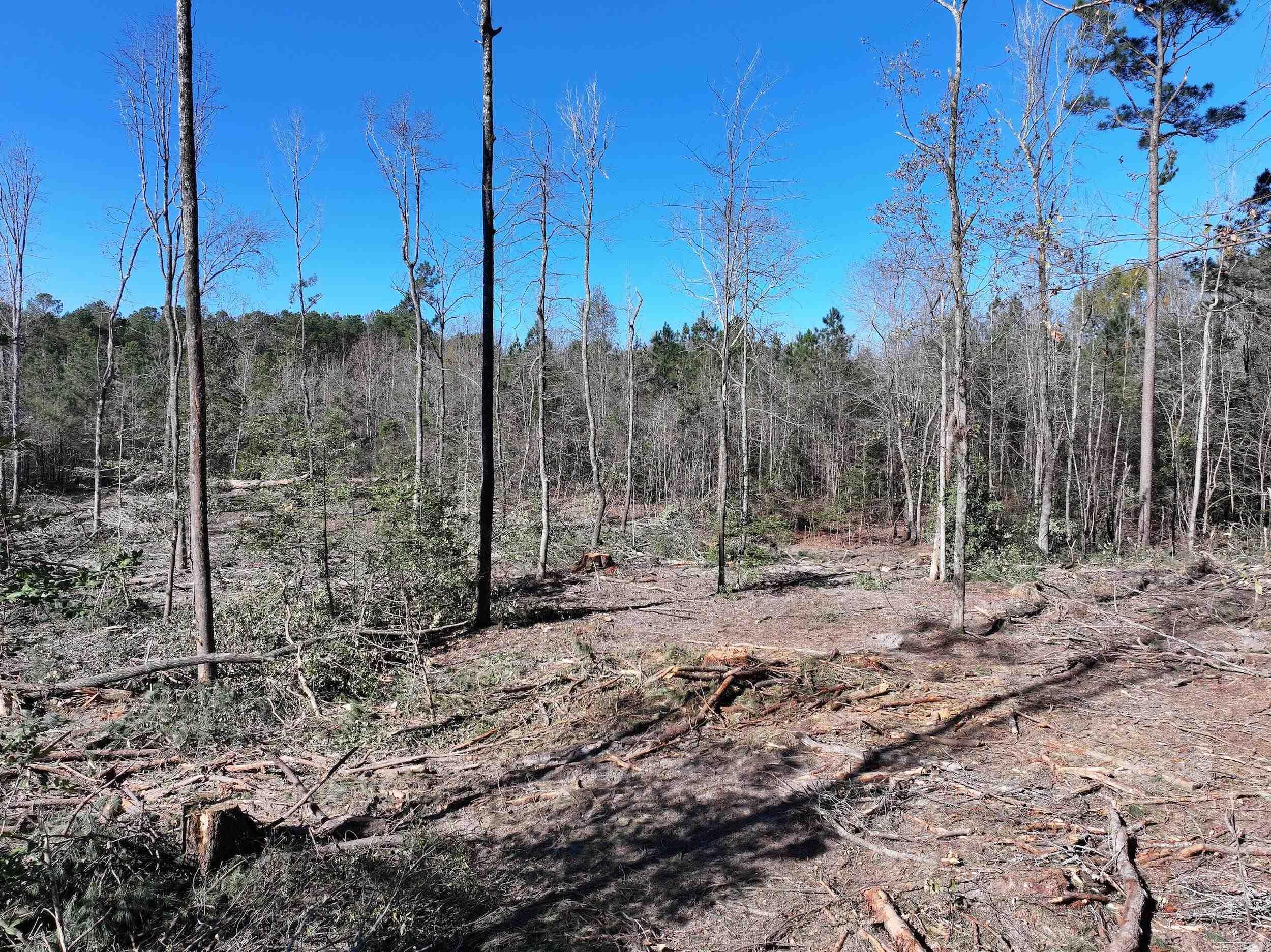 XXX Kaitlyn  Malvern, AR