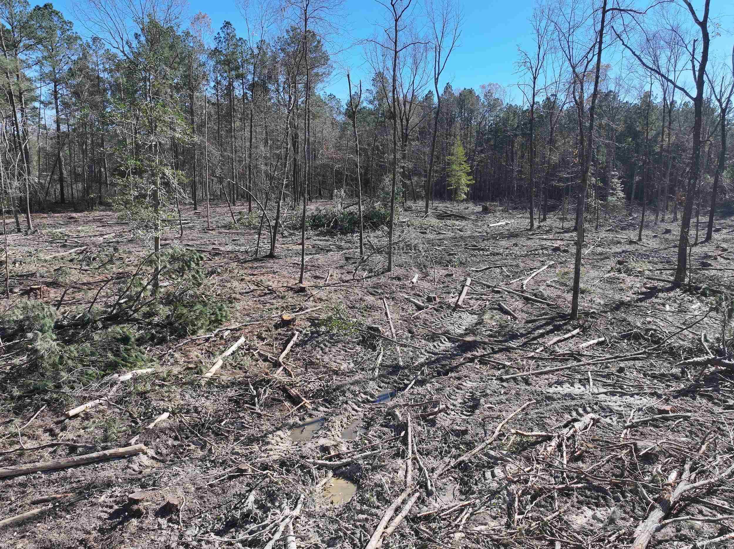 XXX Kaitlyn  Malvern, AR