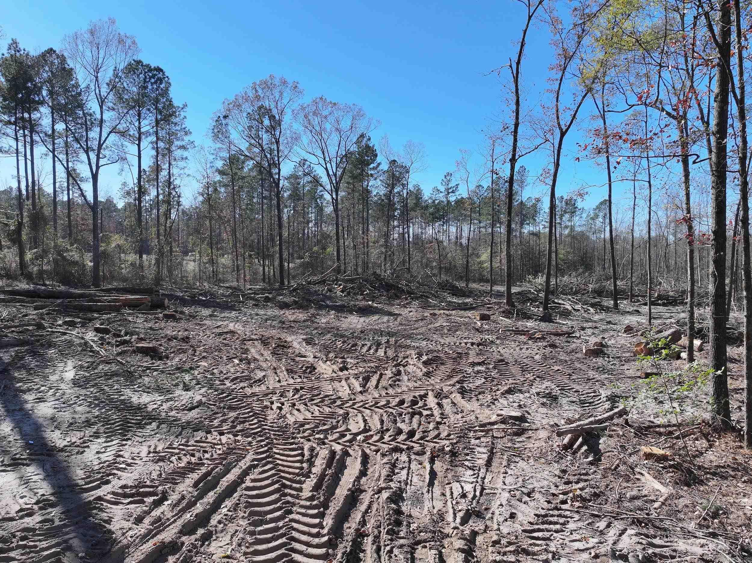 XXX Kaitlyn  Malvern, AR