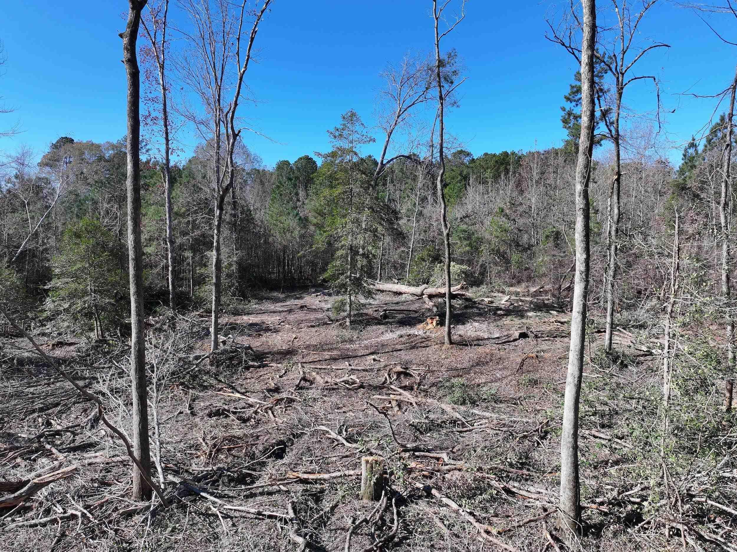 XXX Kaitlyn  Malvern, AR