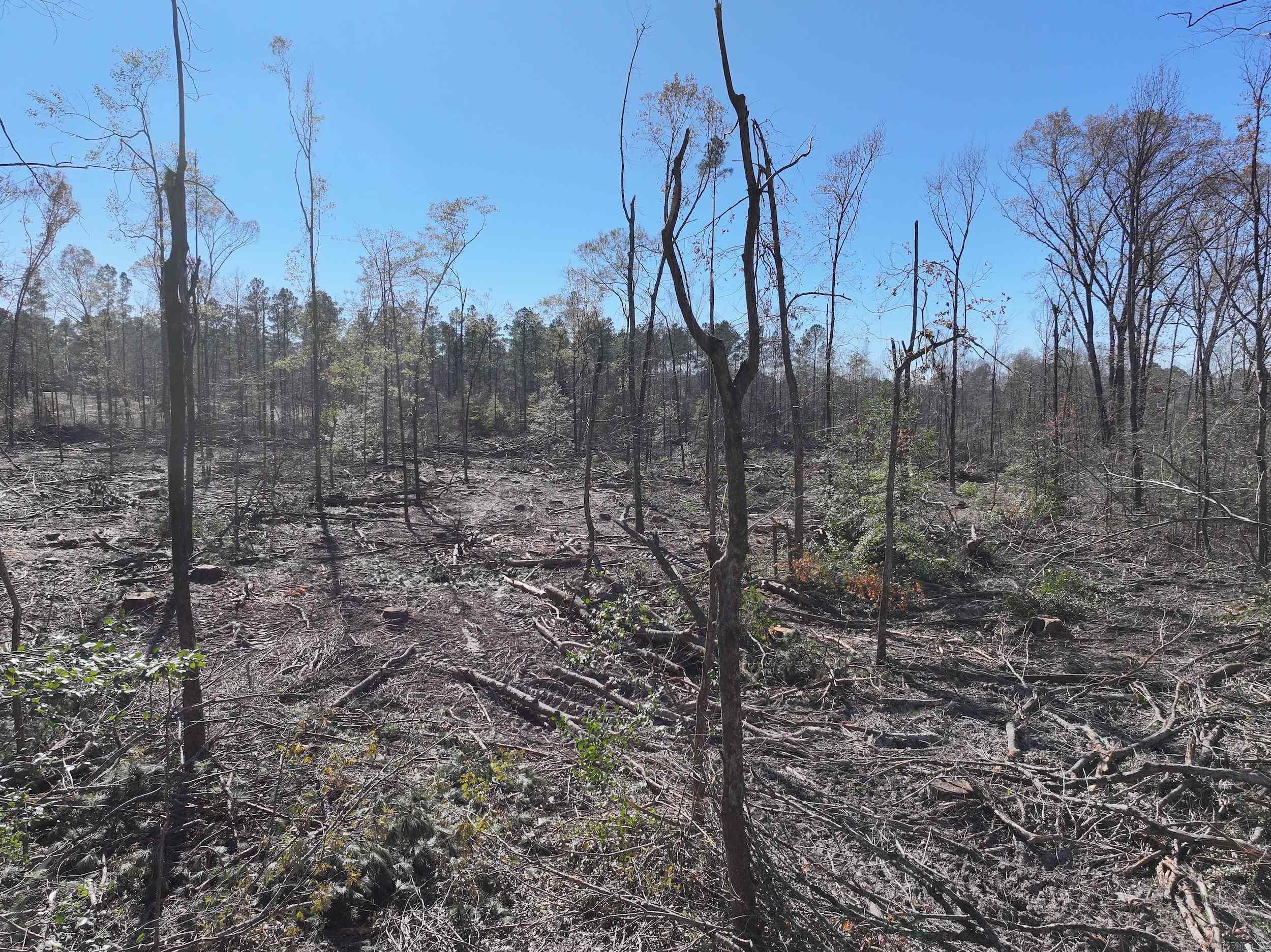 XXX Kaitlyn  Malvern, AR