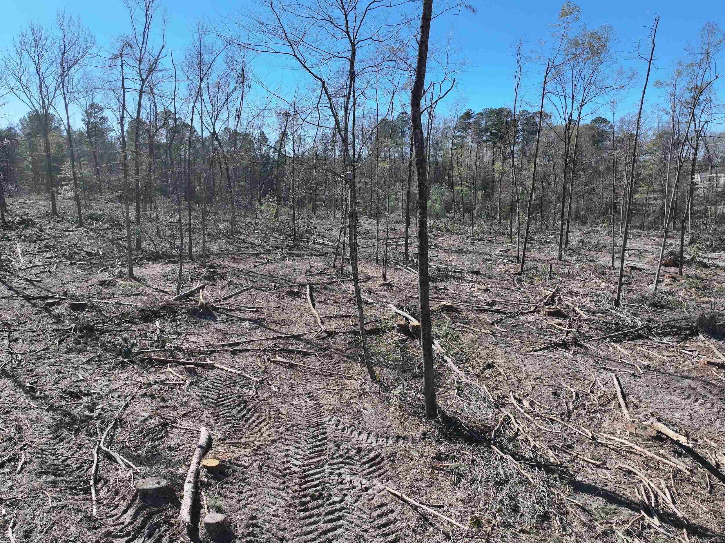 XXX Kaitlyn  Malvern, AR