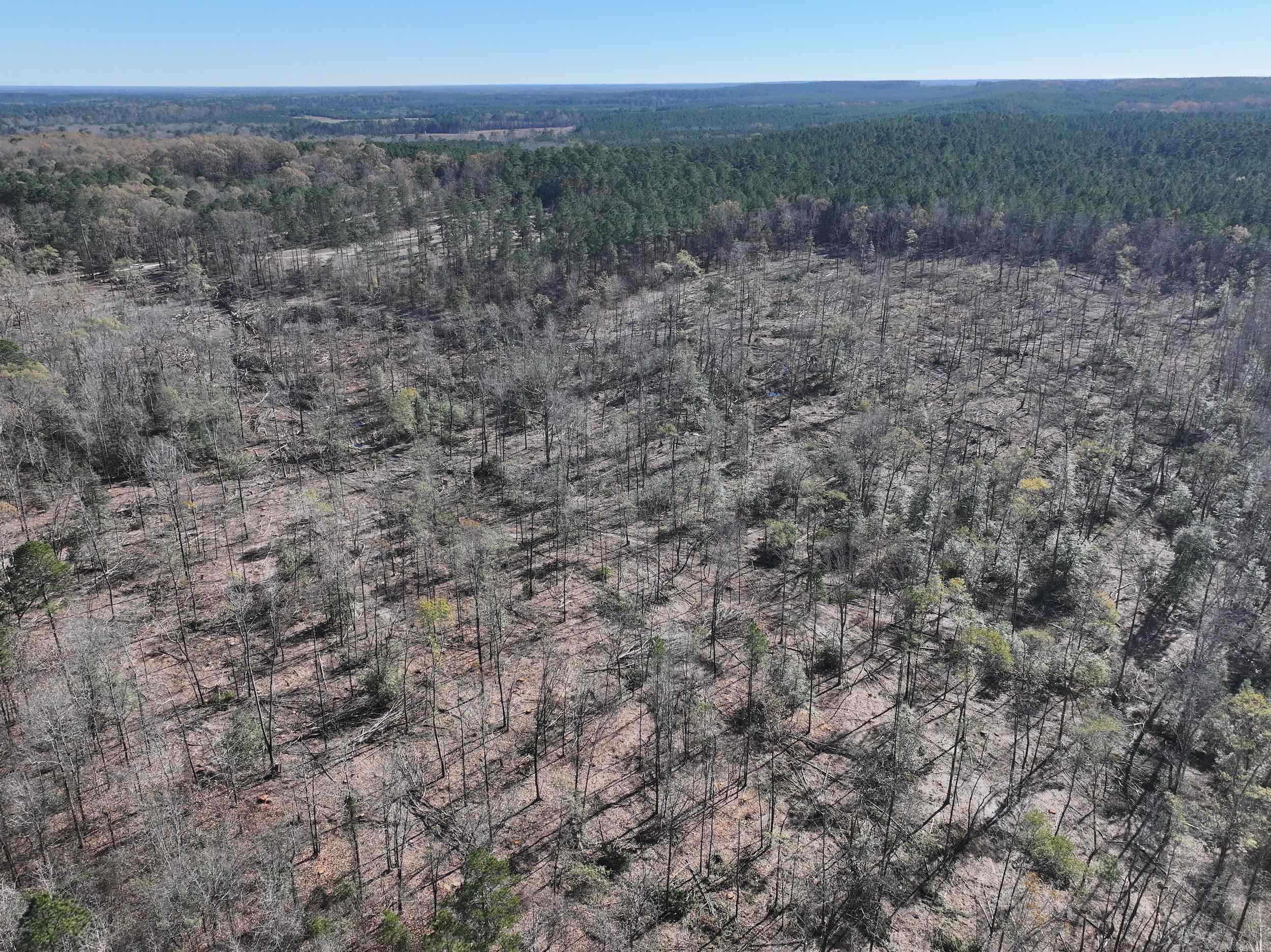 XXX Kaitlyn  Malvern, AR