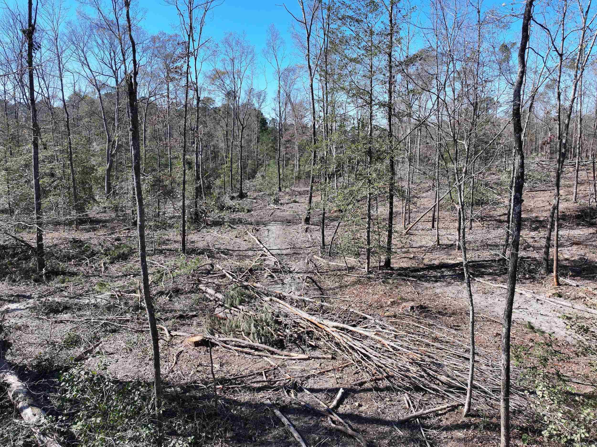 XXX Kaitlyn  Malvern, AR