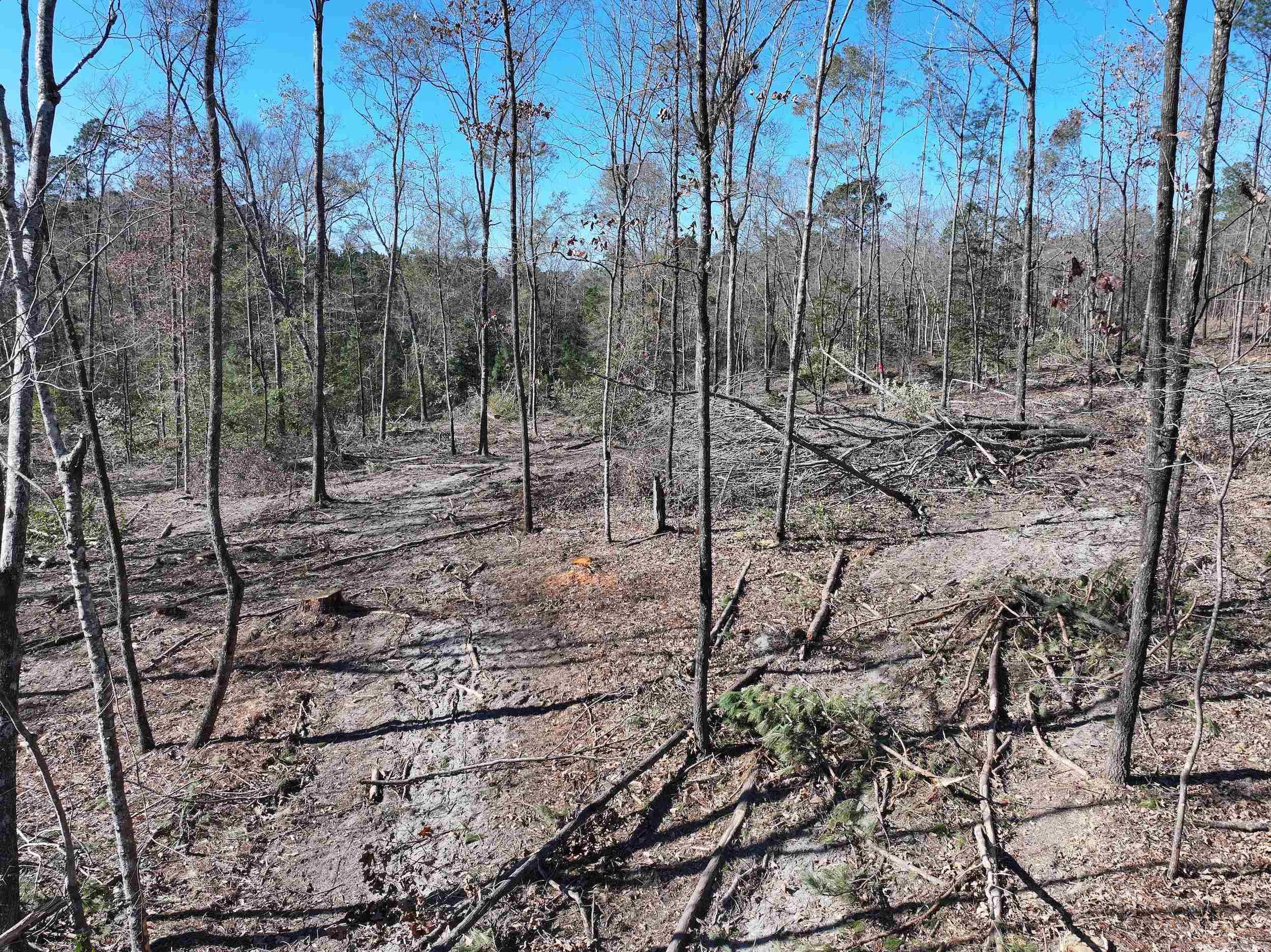 XXX Kaitlyn  Malvern, AR