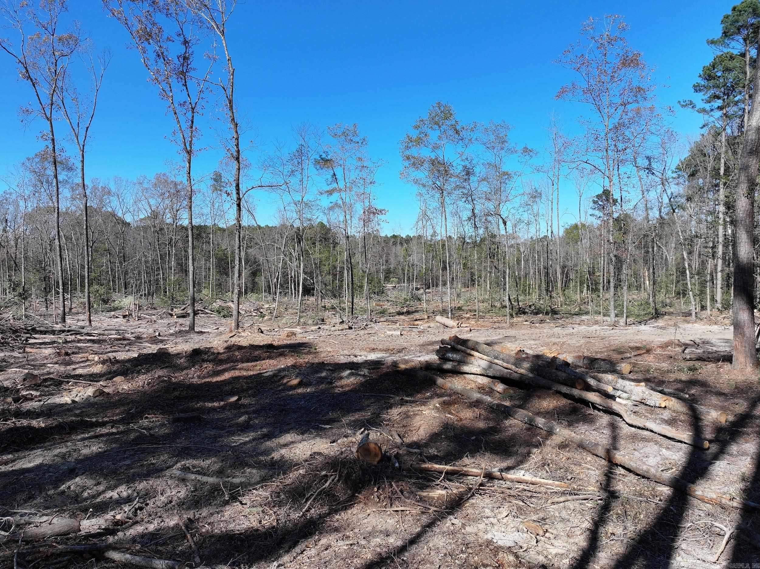 XXX Kaitlyn  Malvern, AR