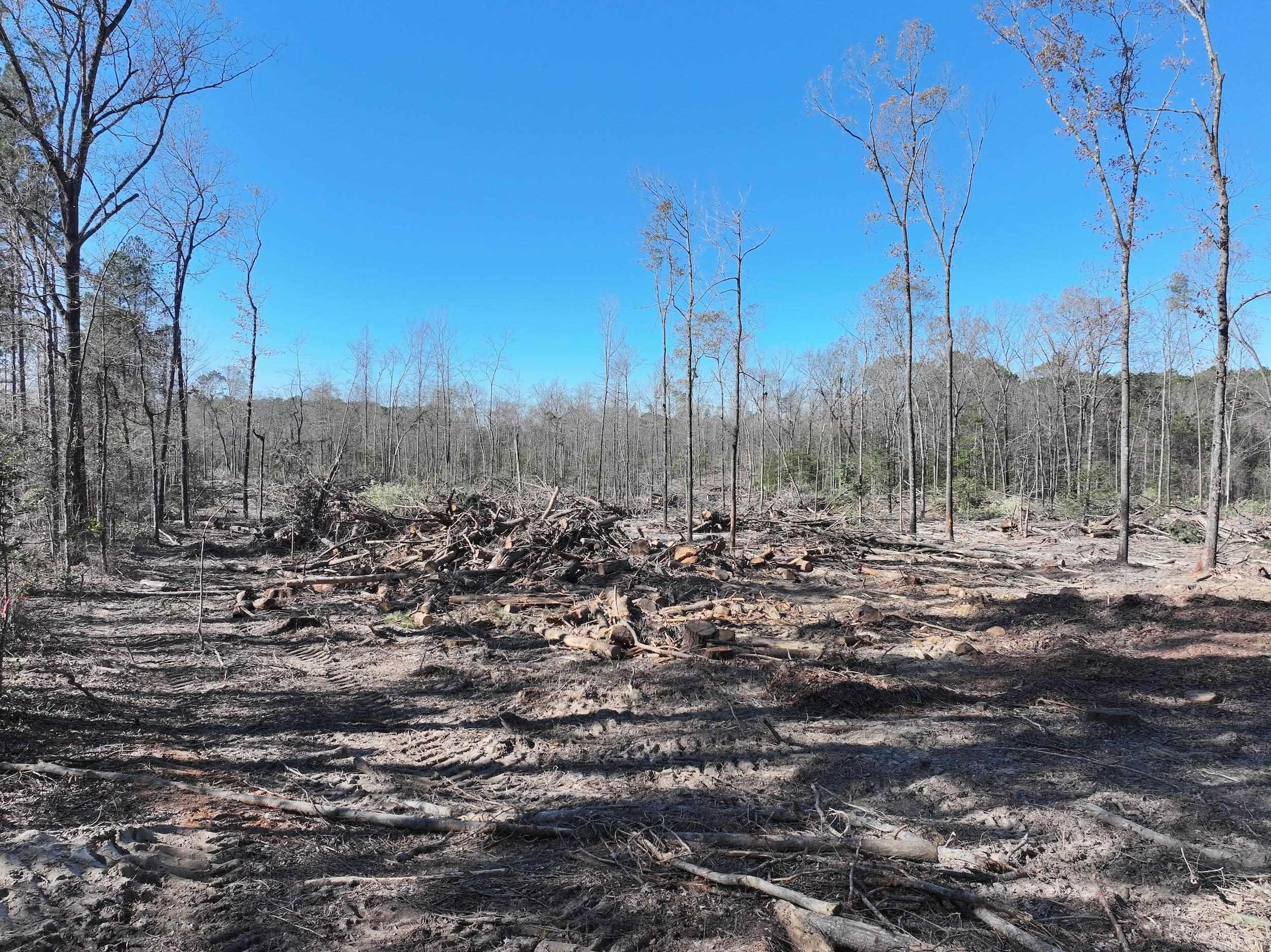 XXX Kaitlyn  Malvern, AR