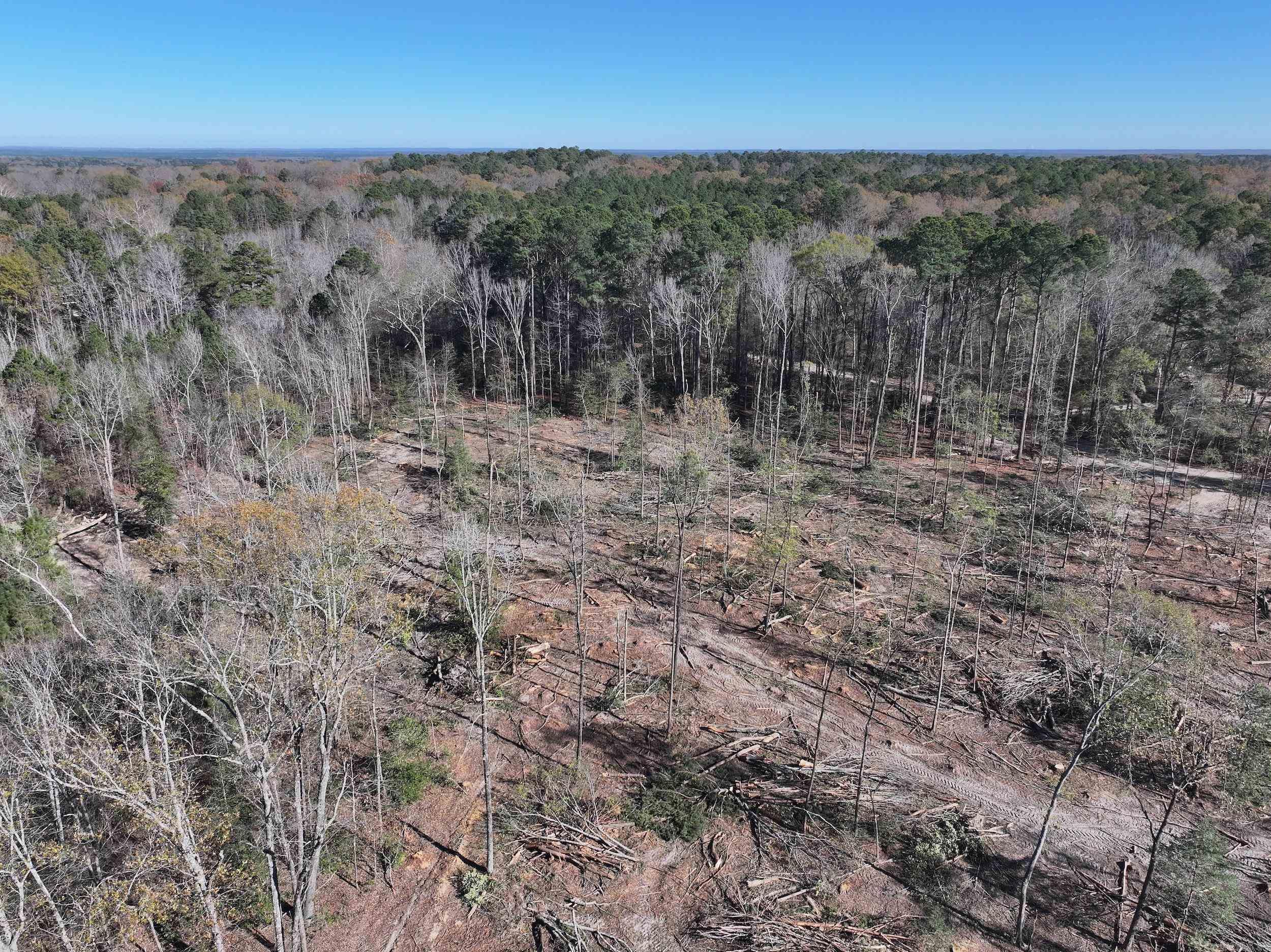 XXX Kaitlyn  Malvern, AR