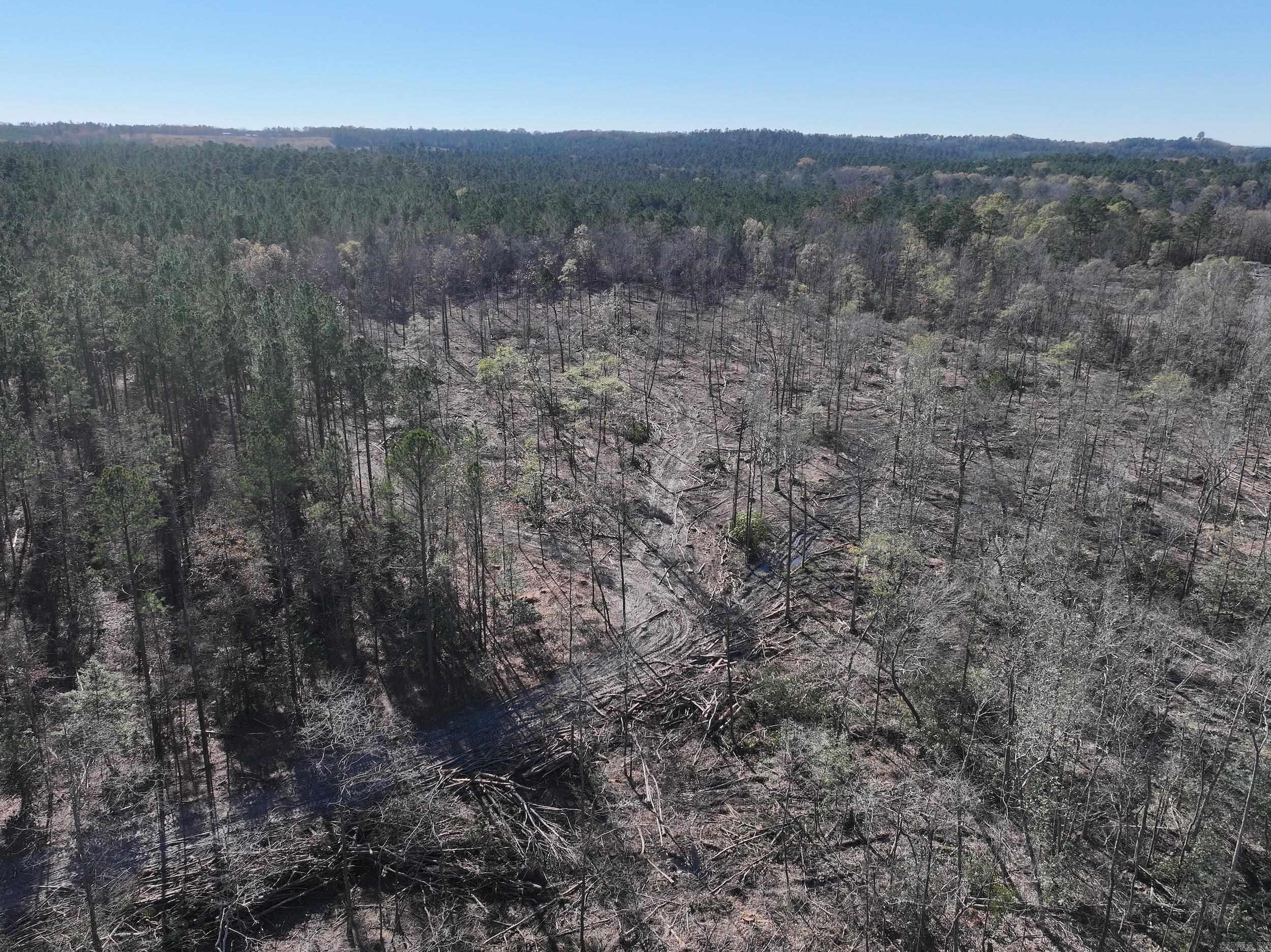 XXX Kaitlyn  Malvern, AR