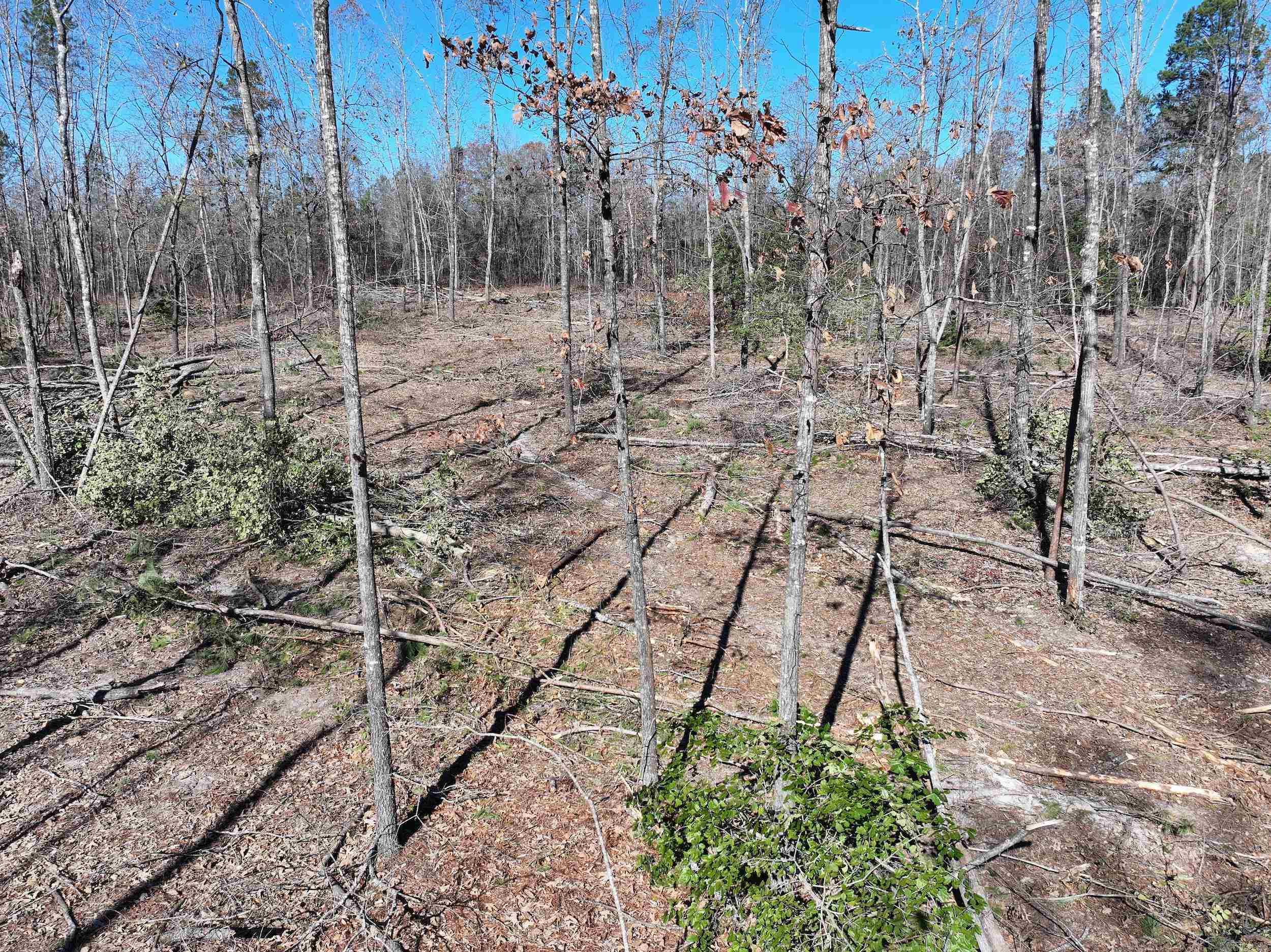 XXX Kaitlyn  Malvern, AR