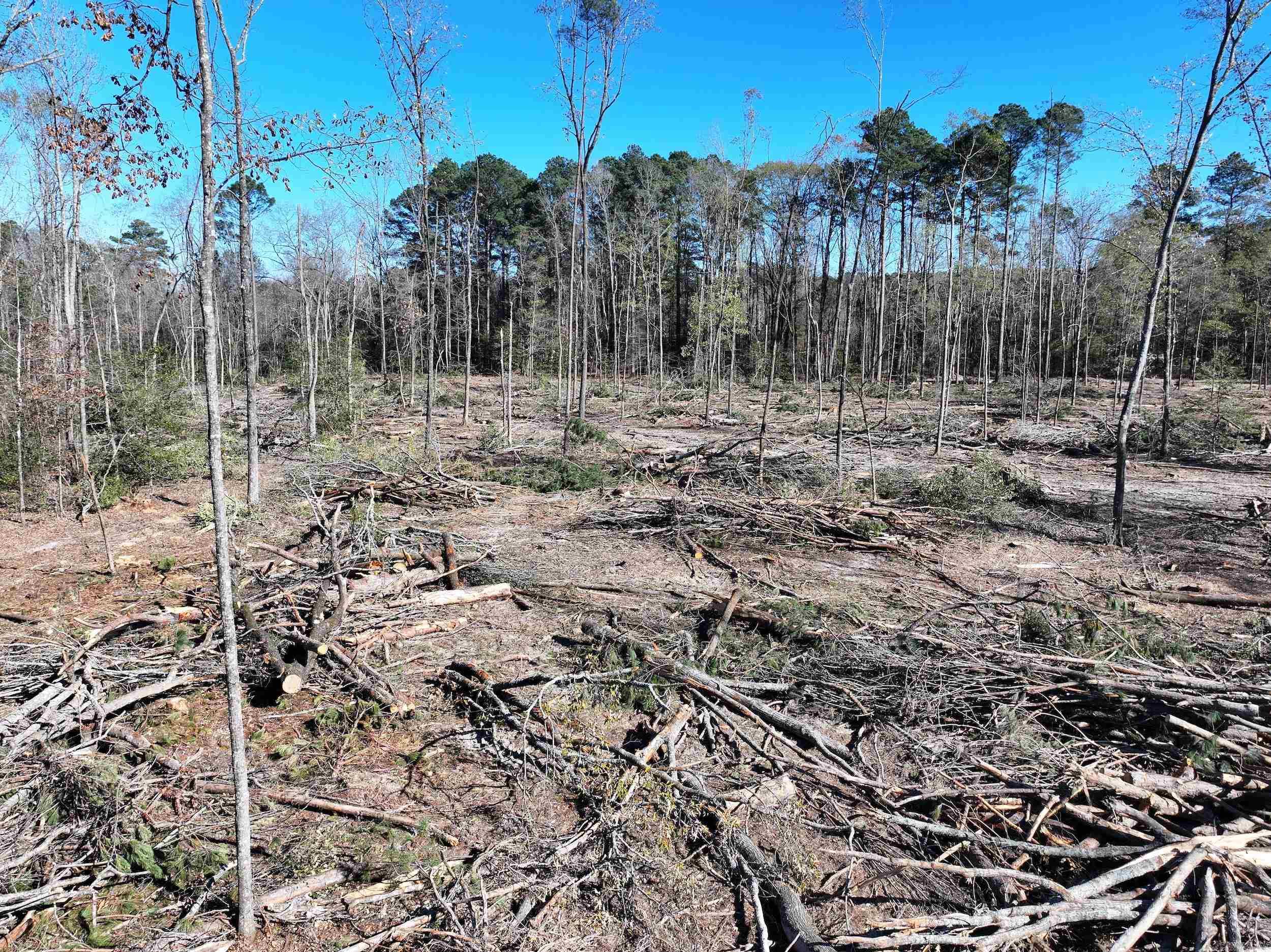 XXX Kaitlyn  Malvern, AR